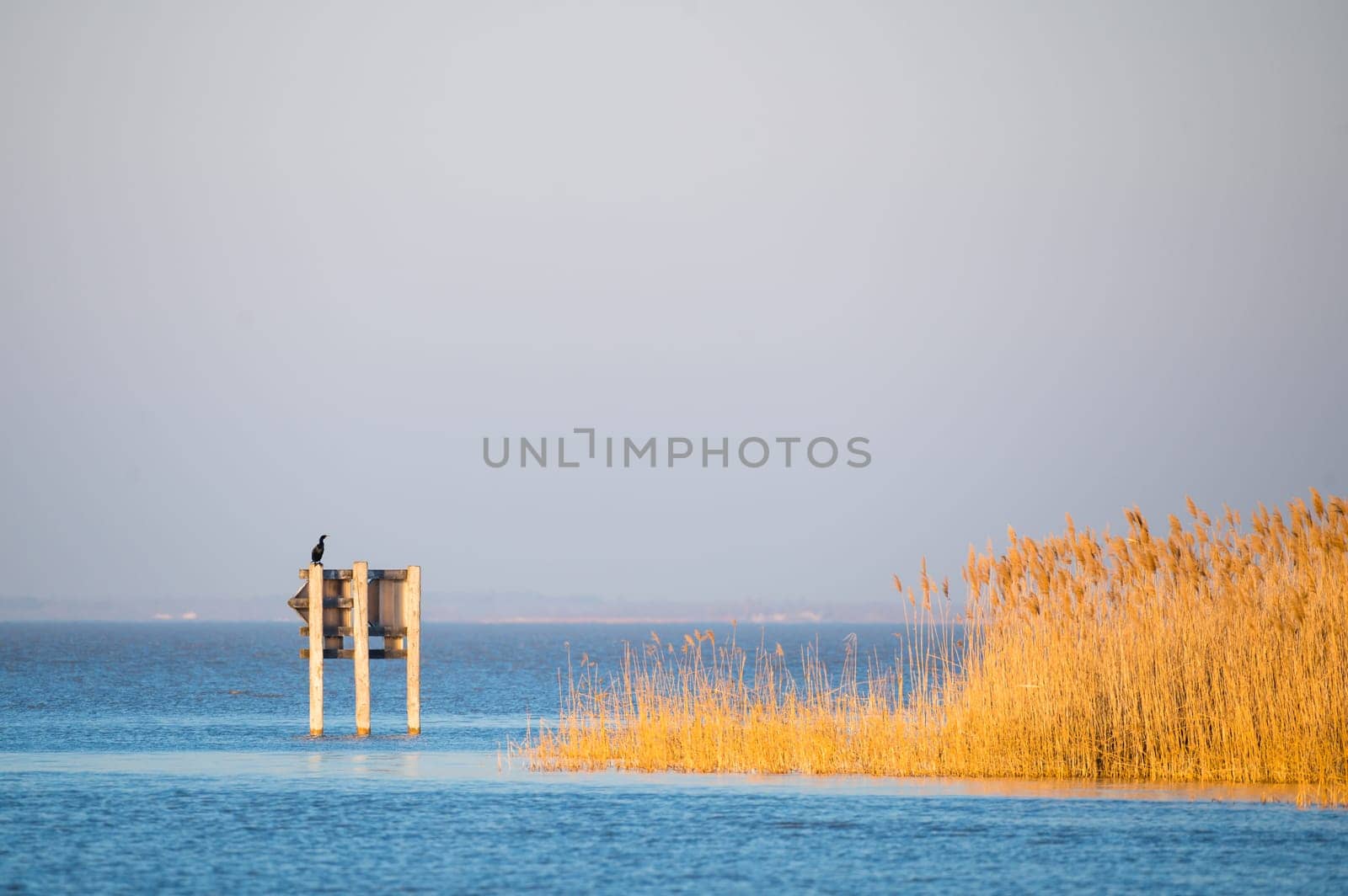 Lake Neusiedlersee on a sunny day in winter