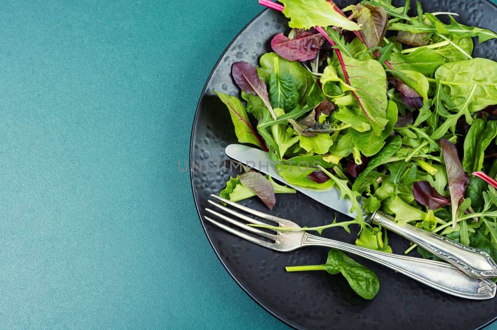 Salad of fresh spring greens and herbs served on a black plate. Flat lay.