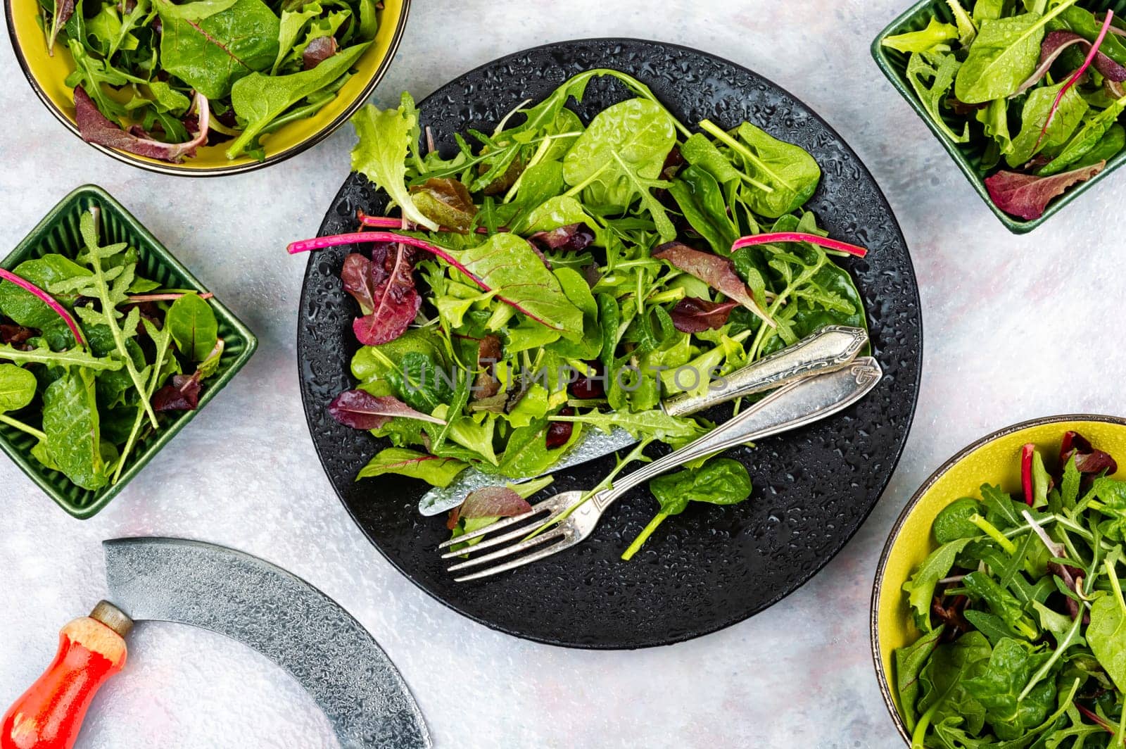 Salad of fresh spring greens and herbs served on a black plate. Flat lay.