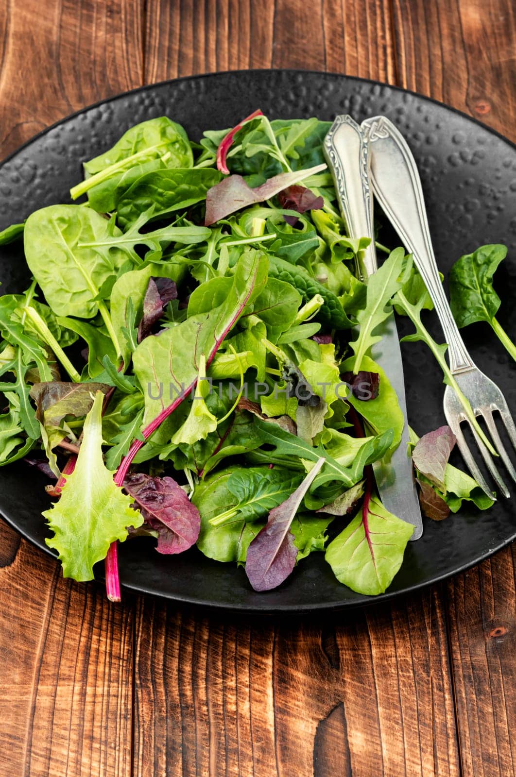 Salad of fresh spring greens and herbs served on a black plate. Flat lay.