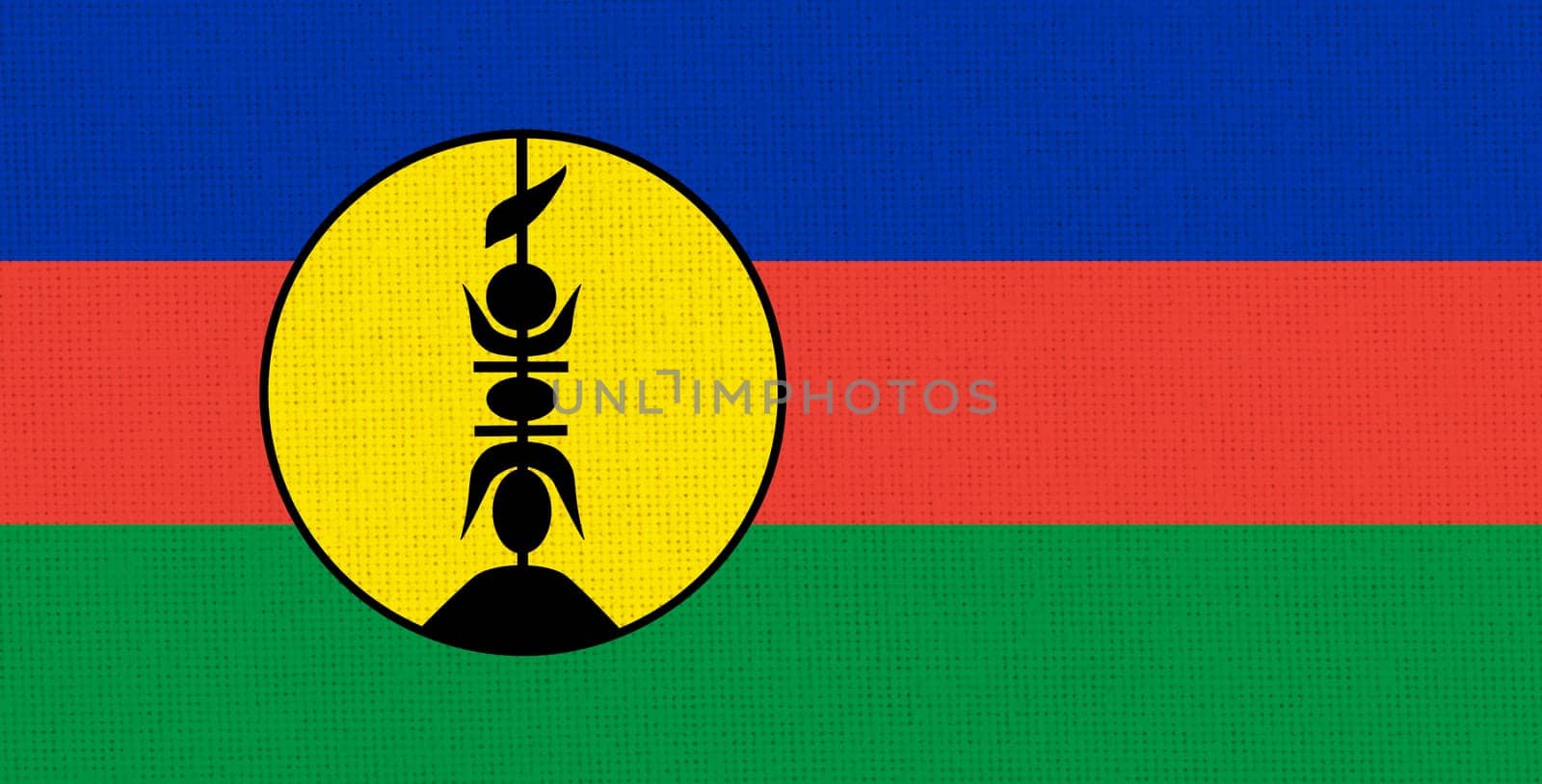 Flag of New Caledonia. New Caledonia state symbol. Island land. country of Oceania