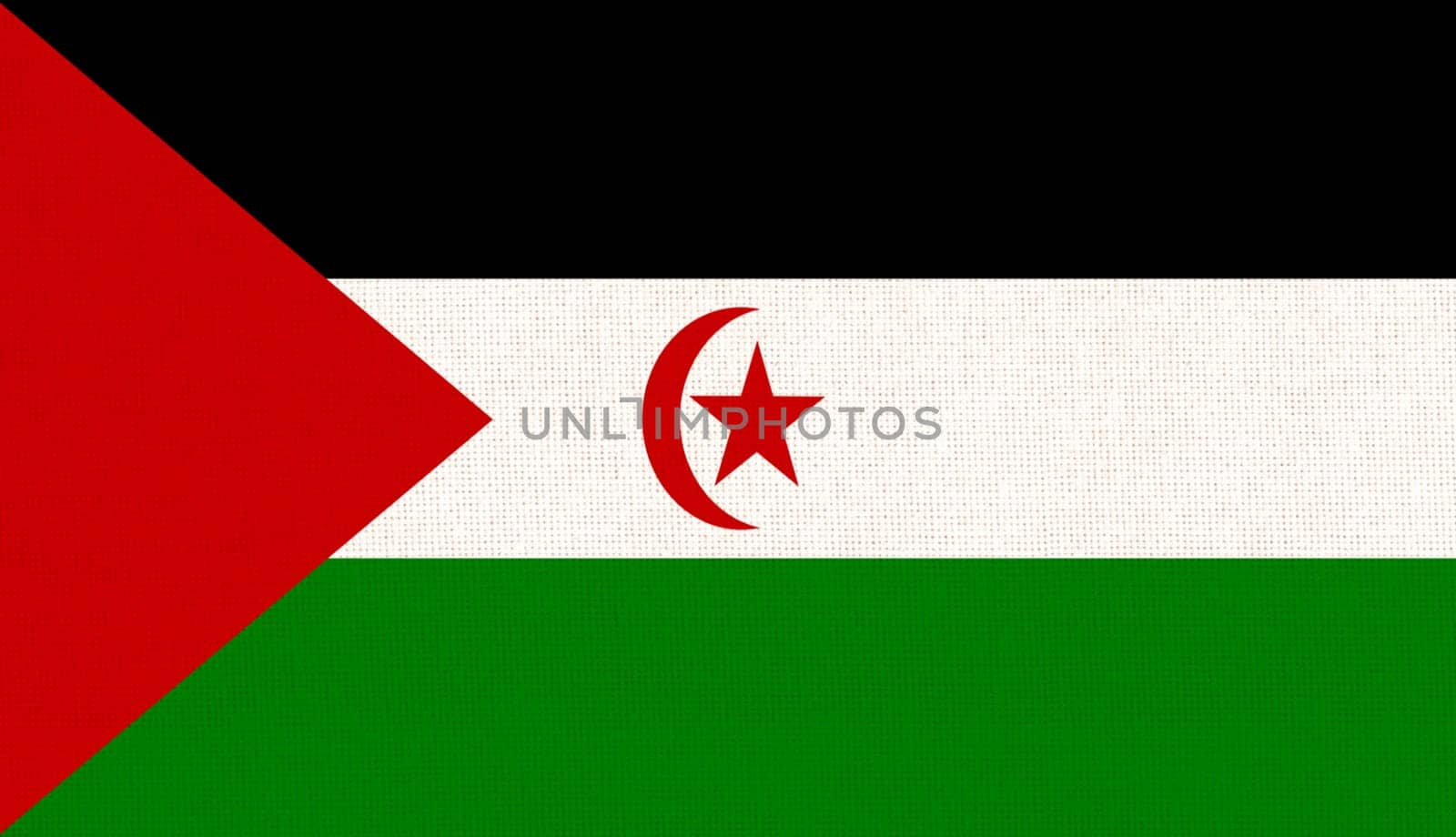 Flag of Western Sahara. flag of Sahrawi Arab Democratic Republic on fabric surface. Fabric texture. National symbol of Sahara on patterned background. African country. illustration