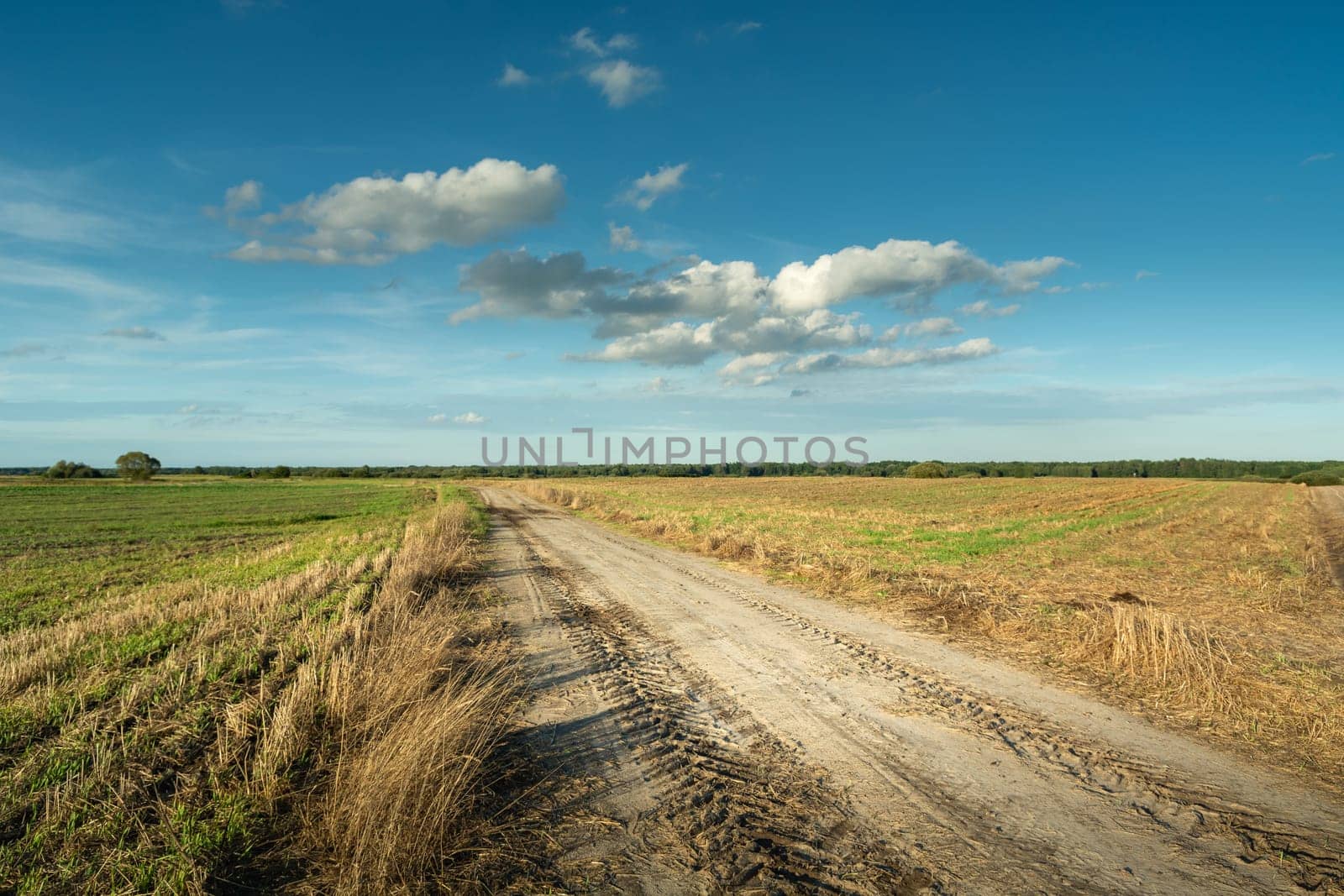Dirt Road Between Fields and Little Clouds in the Sky, Rural Landscape