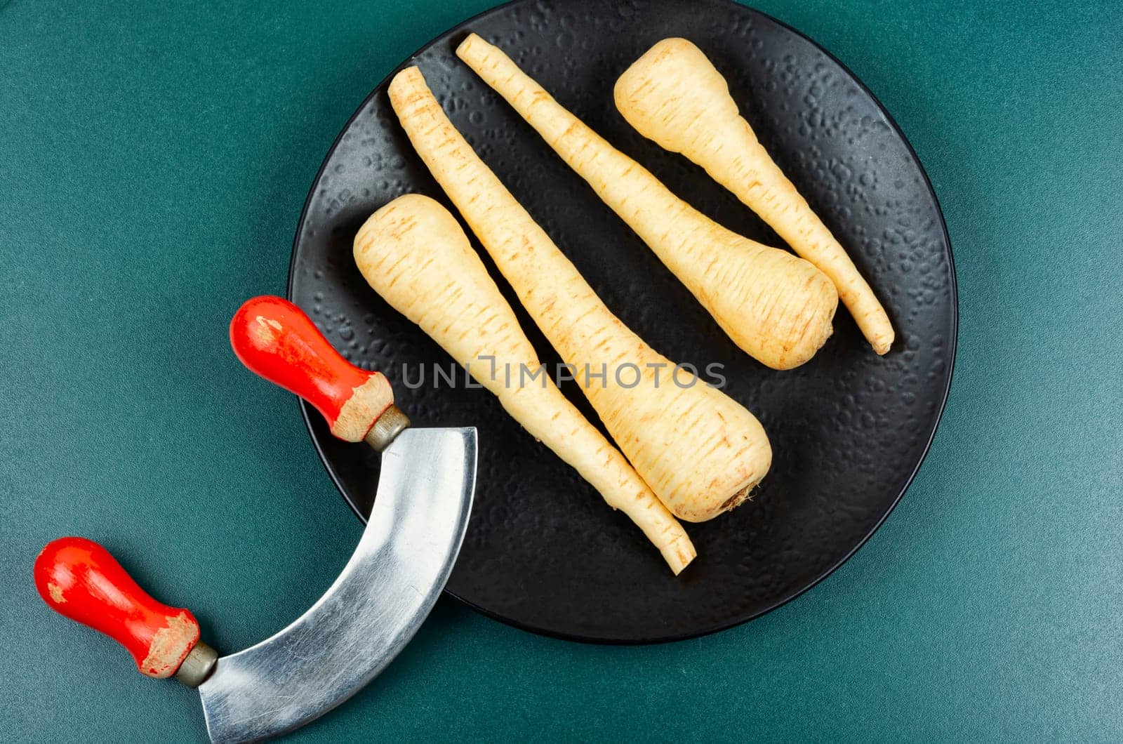 Raw and uncooked whole parsnips roots on the kitchen table