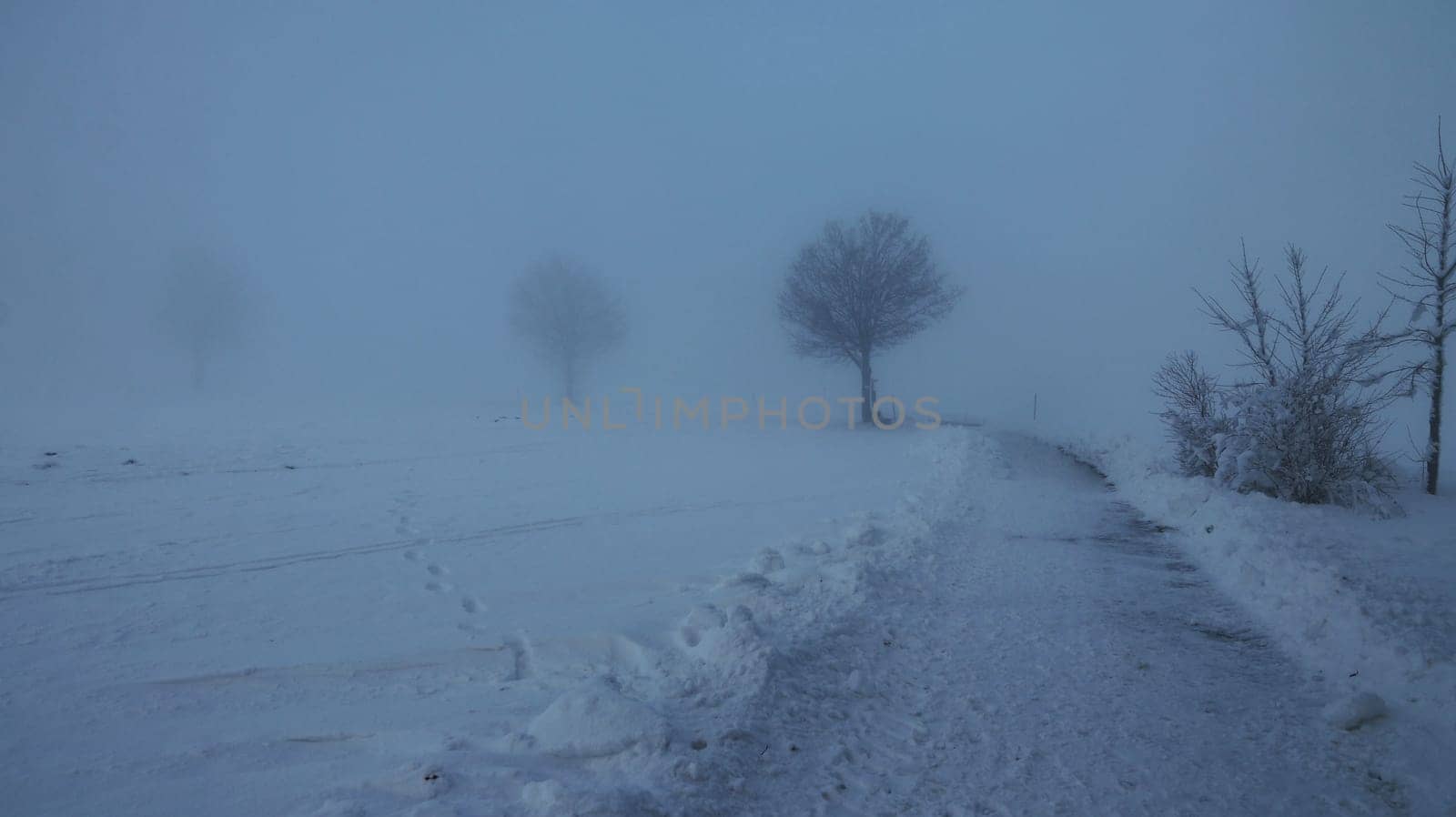 Icy dense fog in winter with a path and trees