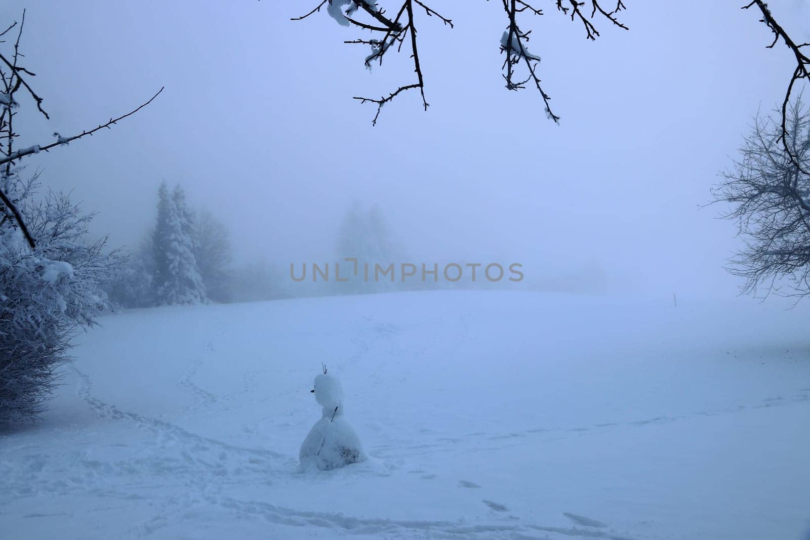 Icy dense fog in winter with trees and a snowman