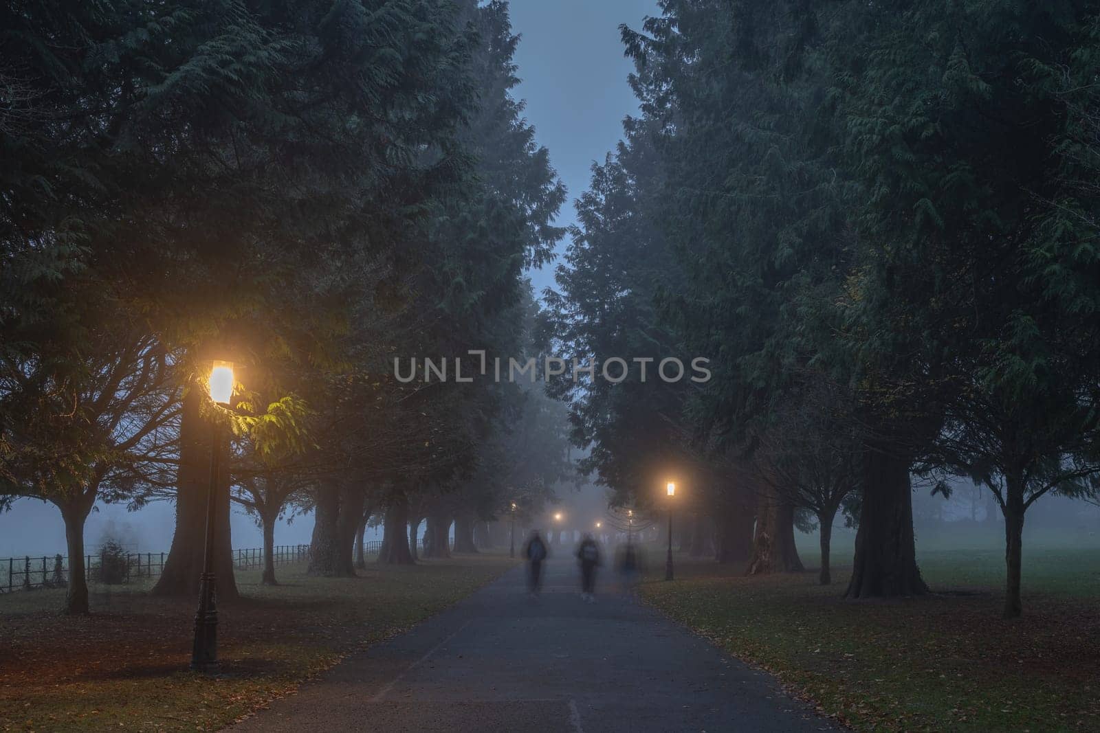 Silhouette of blurred people that walks in thick fog, on road surrounded by trees and illuminated by street lamps in Phoenix Park, Dublin, Ireland