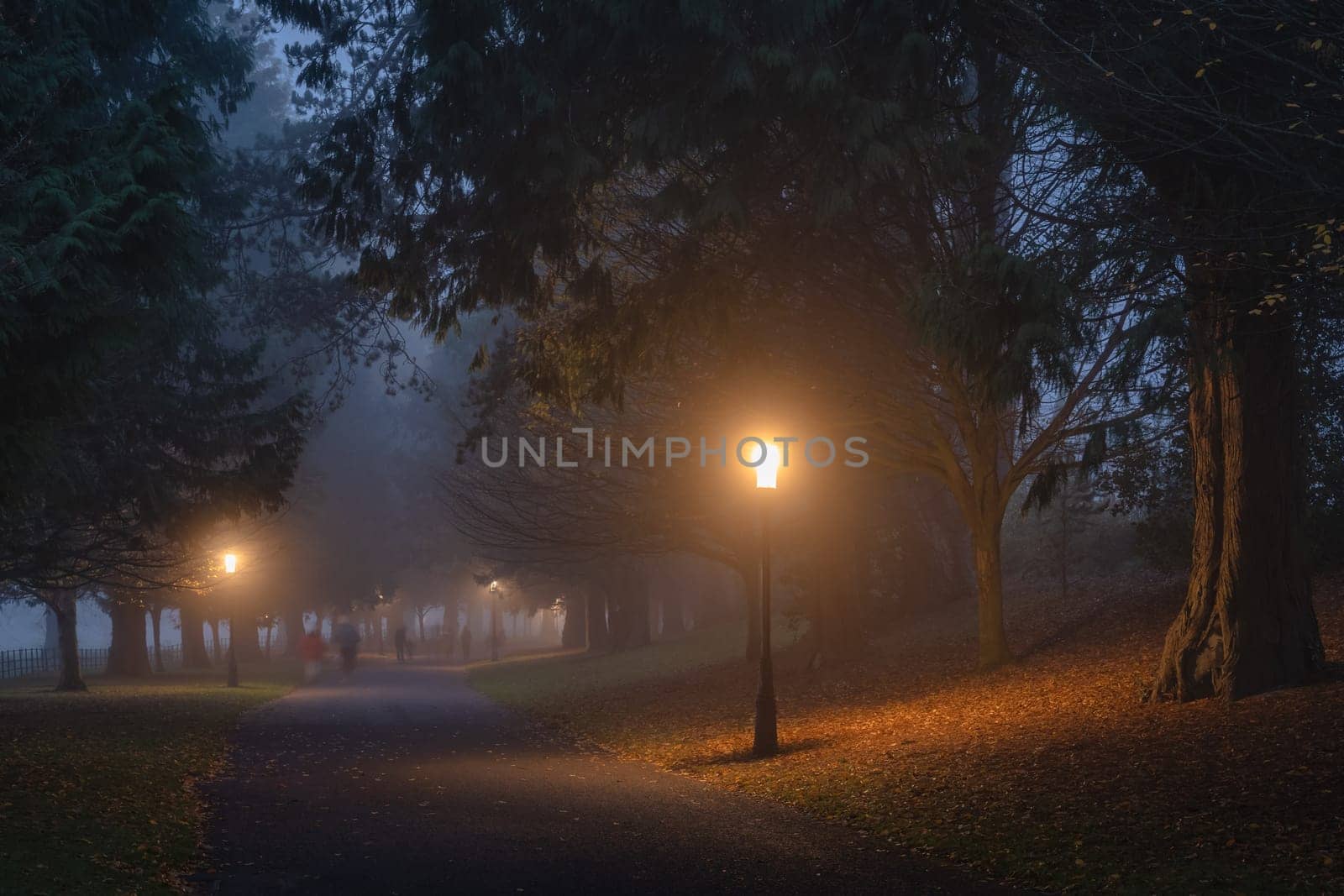 Blurred people, family, that walks in thick fog, on road surrounded by trees and illuminated by street lamps in Phoenix Park, Dublin, Ireland