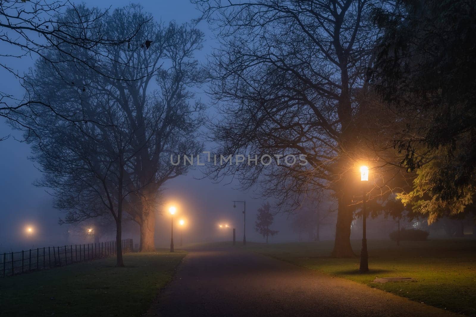 Silhouette of trees illuminated by vintage street lamps, vanishing in thick fog at night. Moody Phoenix Park, Dublin, Ireland