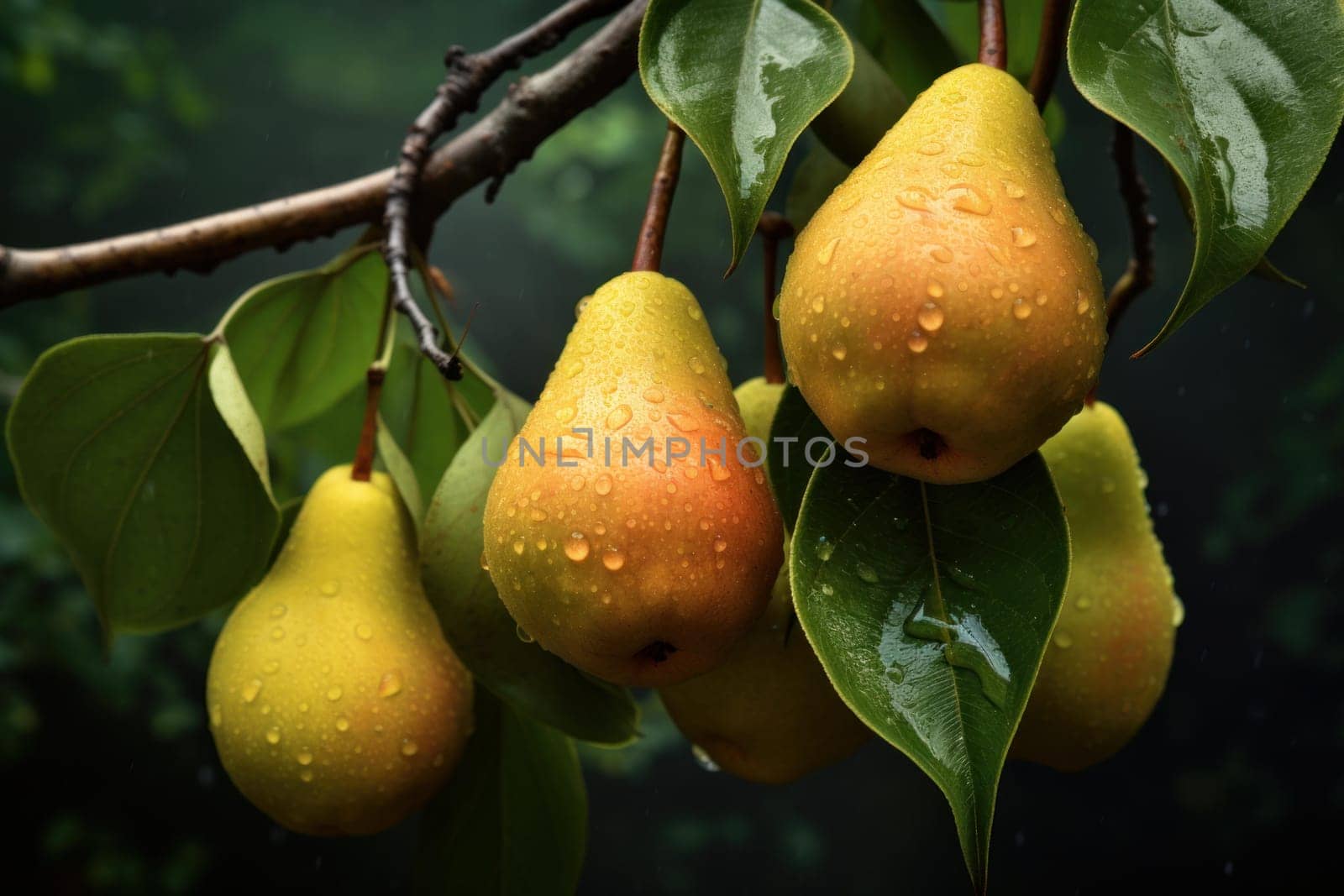 Verdant Pear organic fruits branch. Harvest nature. Generate Ai