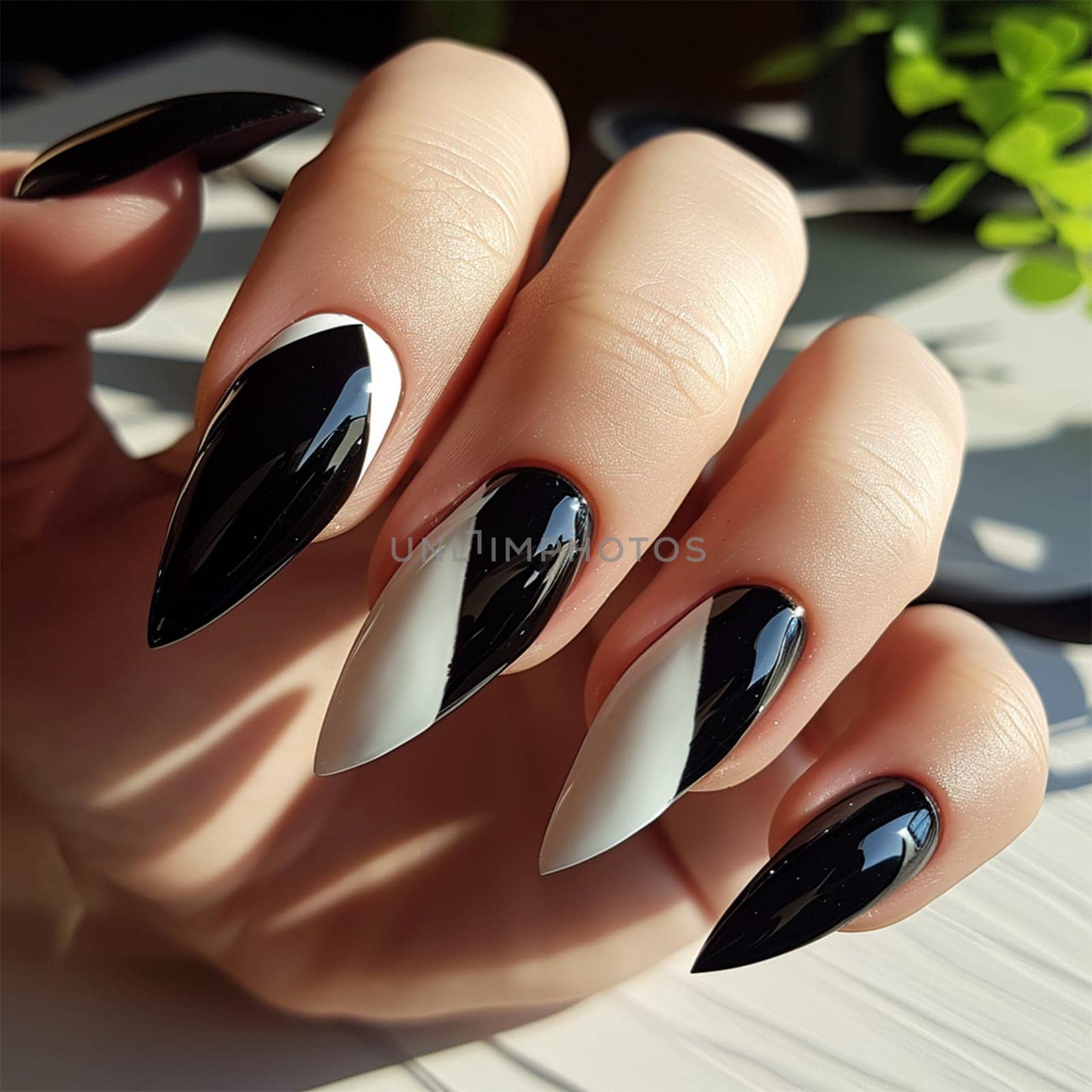Beautiful manicure for long nails in black and white ,geometric nail design and extensions in a nail salon