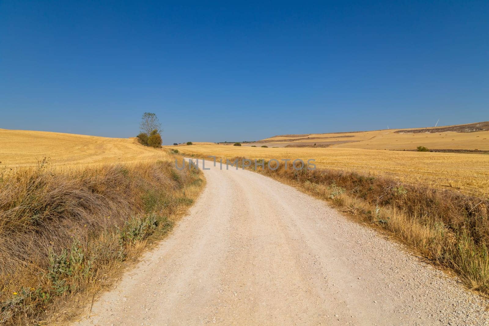 Rural road in the Spanish countryside among agricultural fields, after wheat harvest season. Navarra, Spain