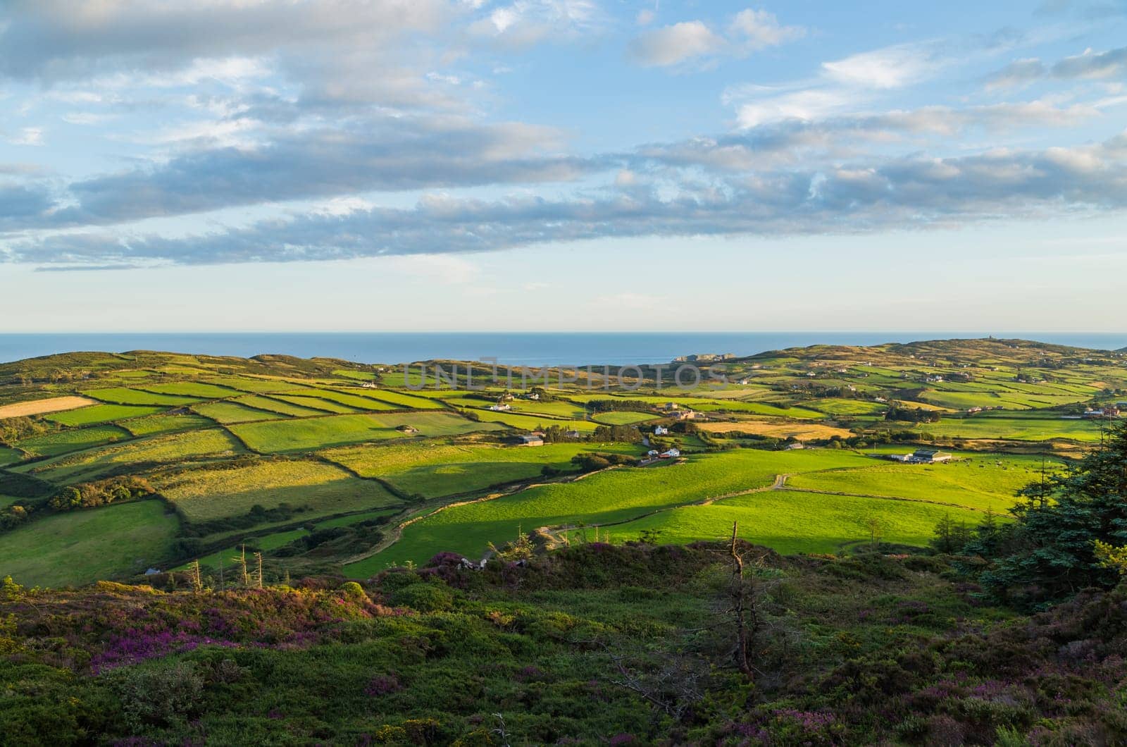 Landscape at the coast near the Lough Hyne in West Cork at sunset, Ireland