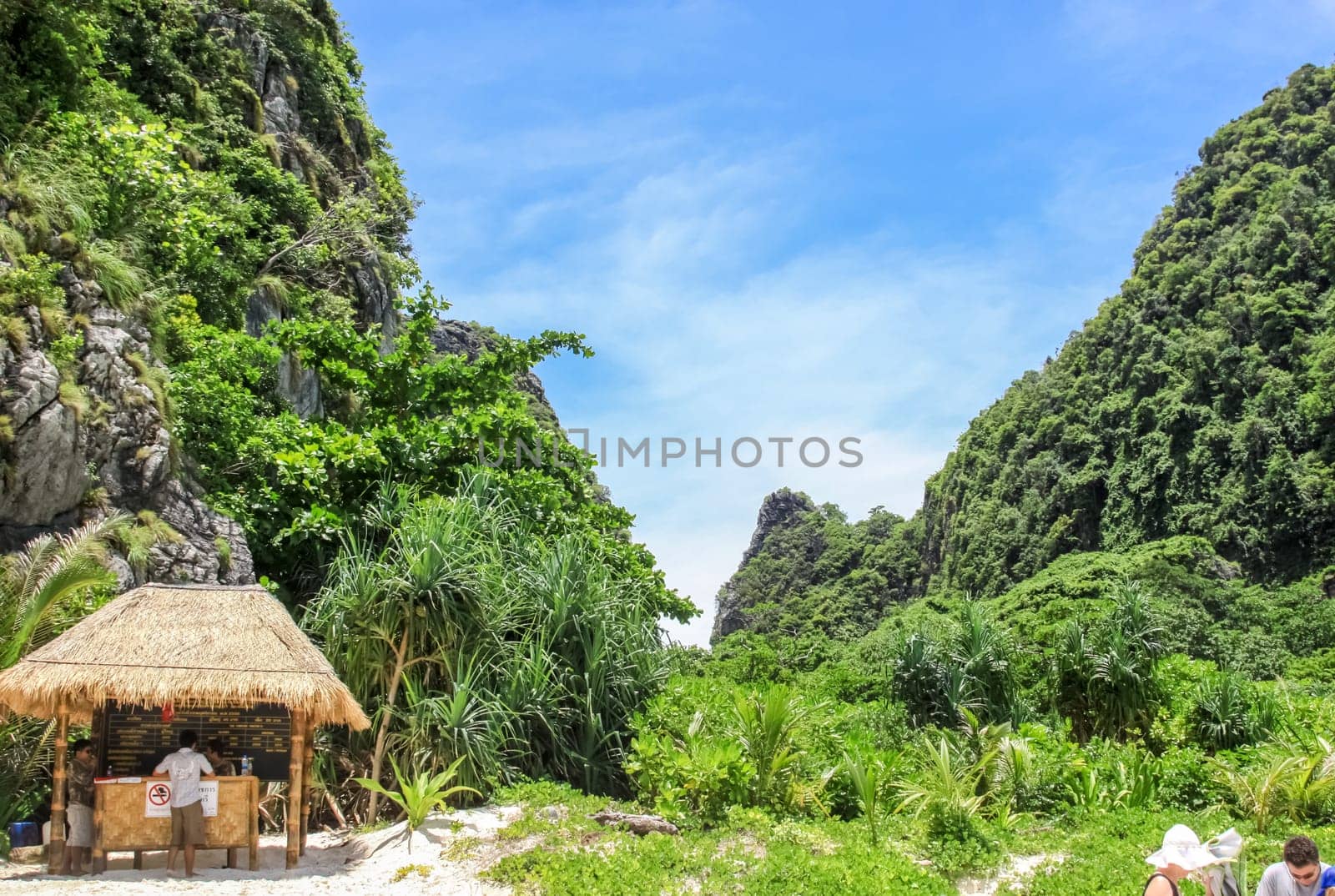 Forests on the hills of the island of Phuket in Thailand. The nature of Thailand.