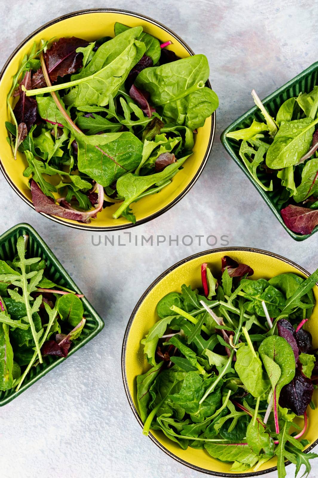 Salad of fresh spring greens and herbs on a plate. Healthy food.
