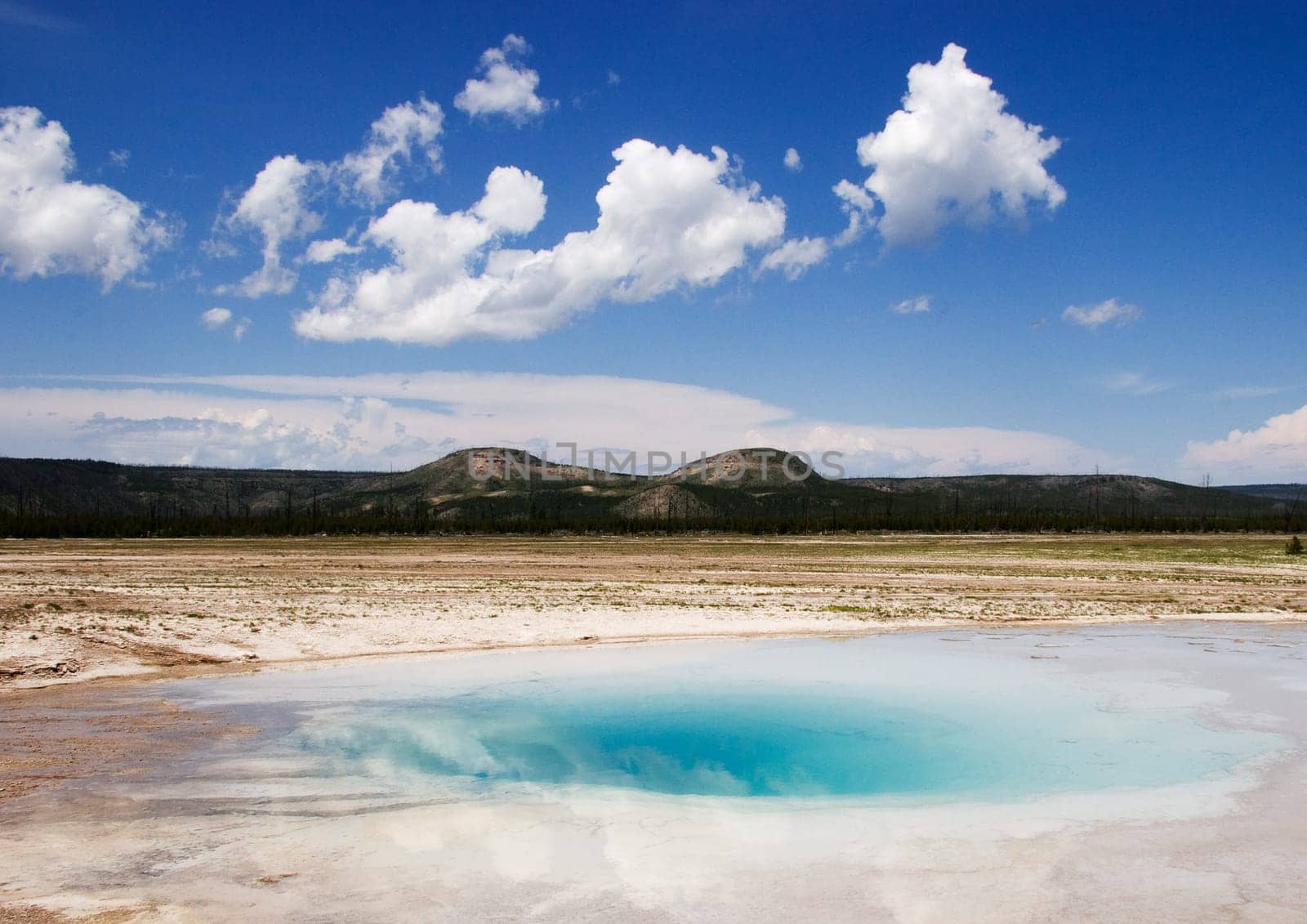 Steam rising from various geysers in the Upper Geyser Basin in Yellowstone National Park, USA
