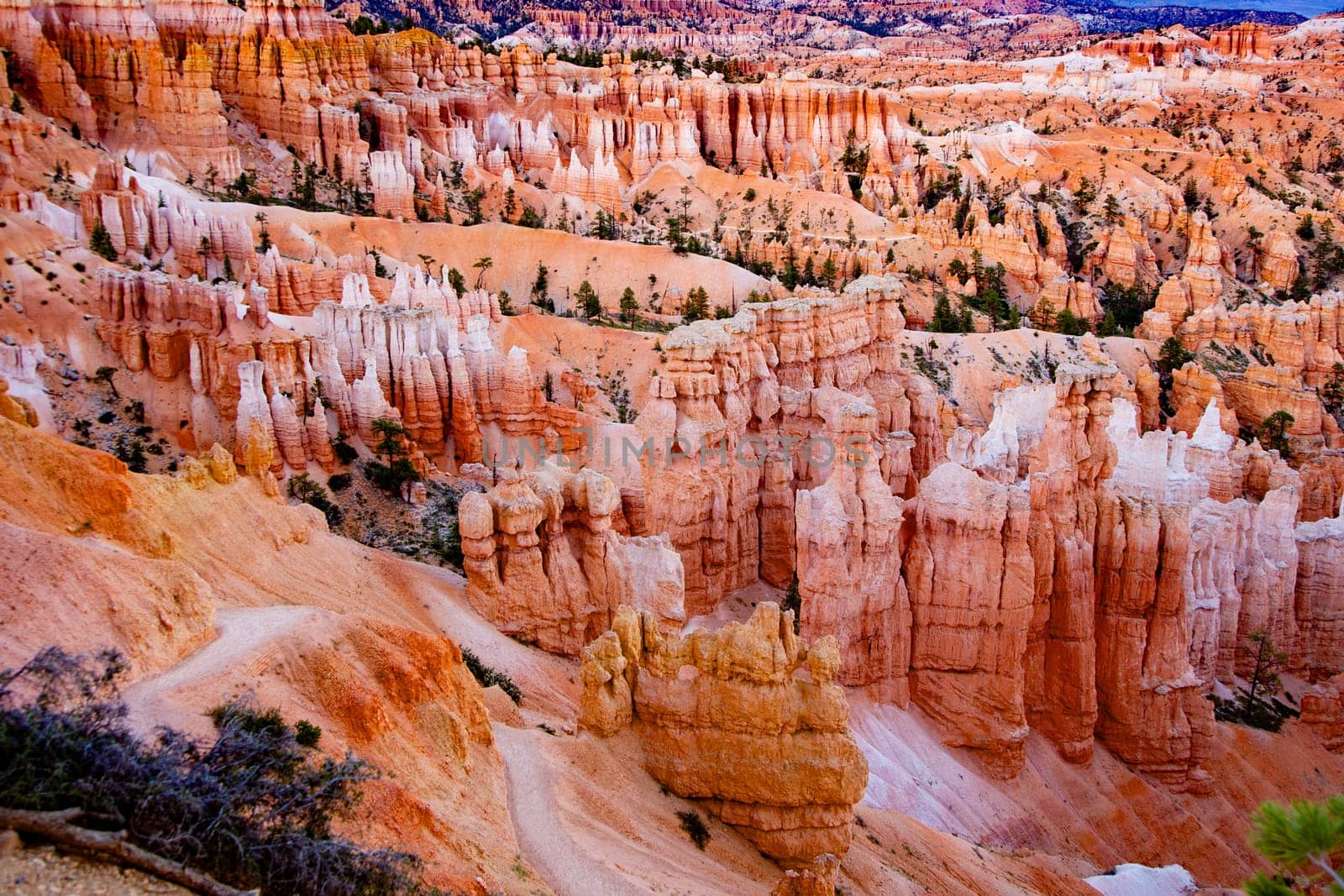 scenic Bryce canyon in afternoon light, USA