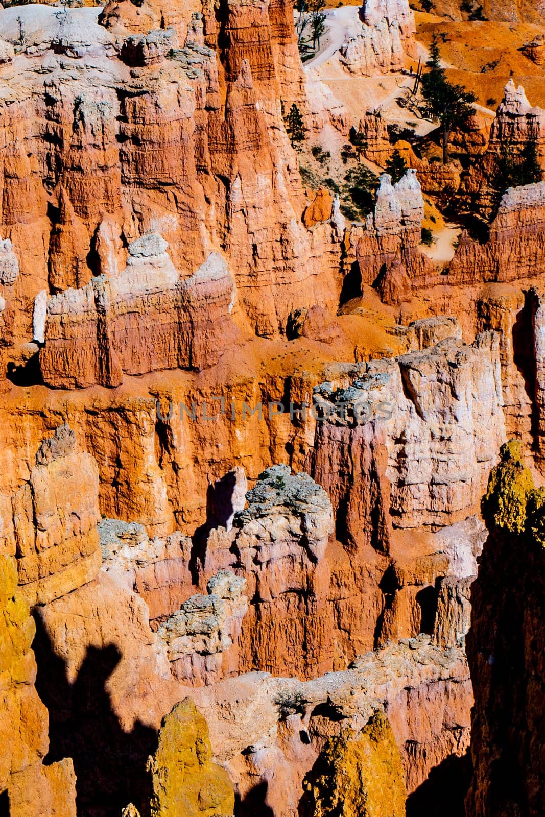 beautiful landscape in Bryce Canyon with magnificent Stone formation like Amphitheater, temples, figures in afternoon ligh