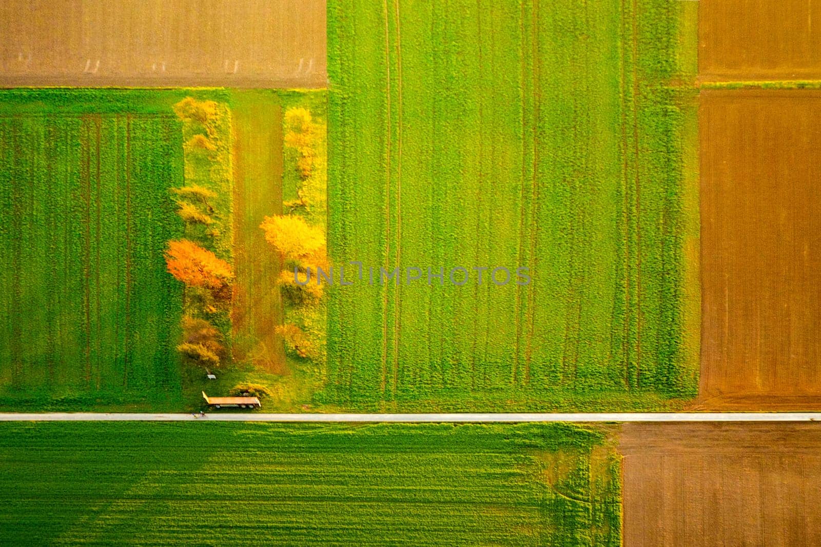 aerial of scenic rural landscape in autumn indian summer colors
