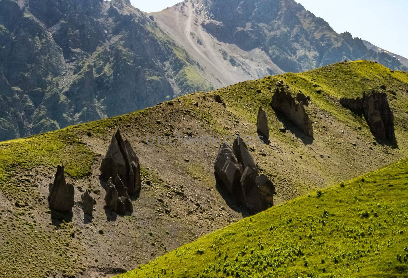 Mountain landscape with grass in the hills. Mountain landscape. Mountain vegetation.