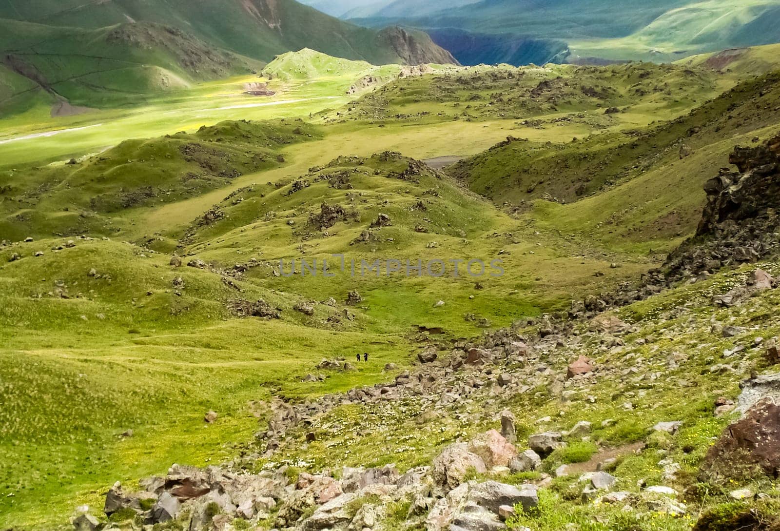 Mountain landscape with grass in the hills. Mountain landscape. Mountain vegetation.