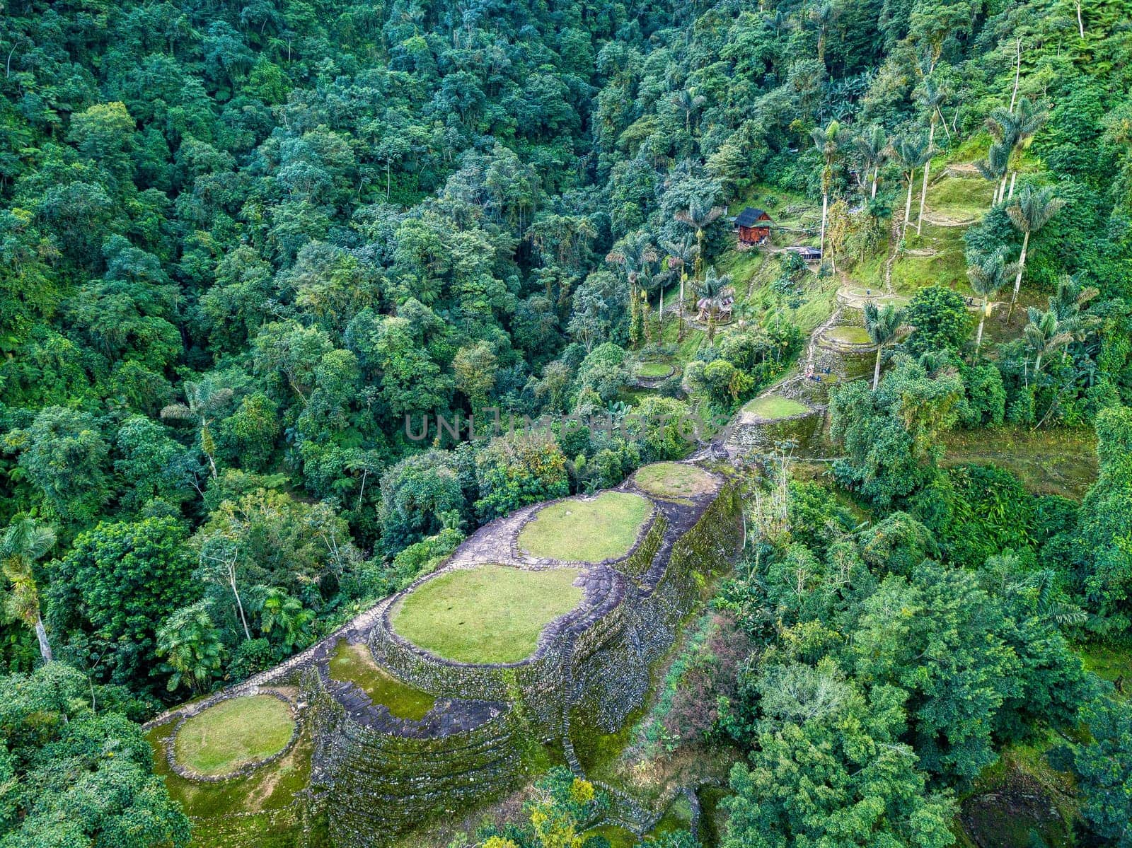 Hidden ancient ruins of Tayrona civilization Ciudad Perdida in the heart of the Colombian jungle. Aerial view from above. Lost city of Teyuna. Santa Marta, Sierra Nevada mountains, Colombia wilderness