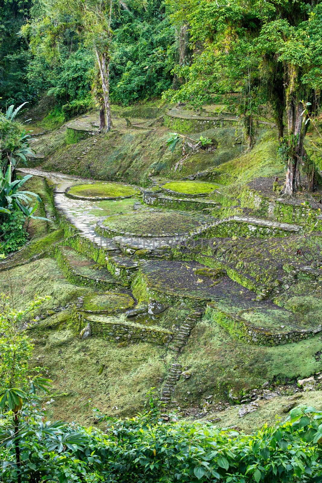 Hidden ancient ruins of Tayrona civilization Ciudad Perdida in the heart of the Colombian jungle Lost city of Teyuna. Santa Marta, Sierra Nevada mountains, Colombia wilderness