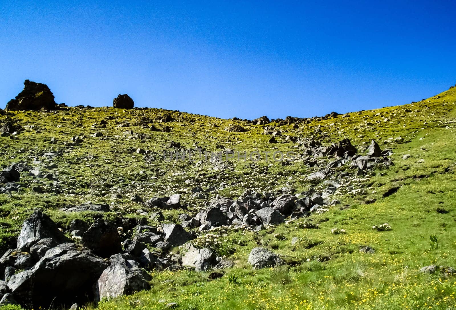 Mountain landscape with grass in the hills. Mountain landscape. Mountain vegetation.