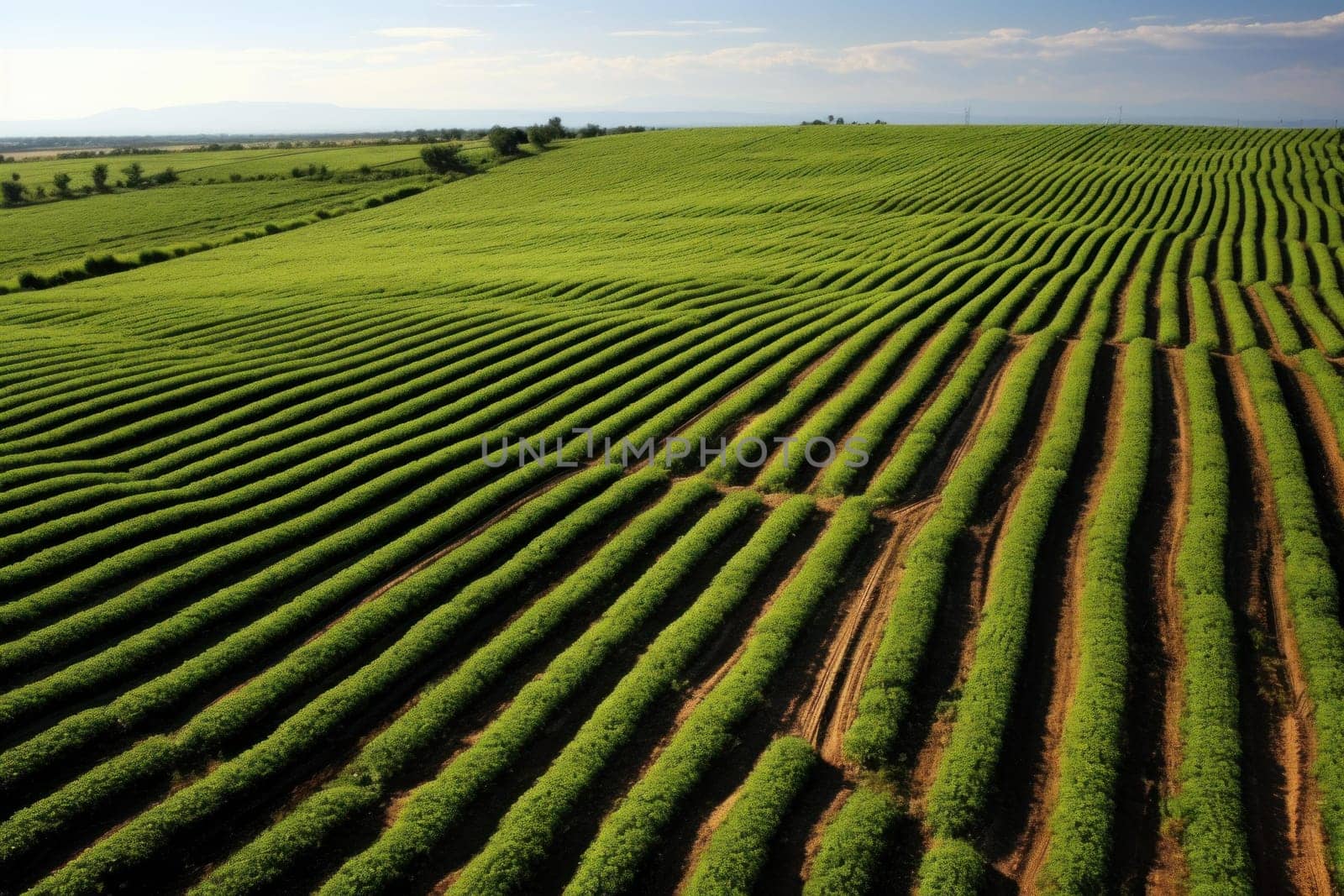 Fertile Field agricultural landscape tractor. Soil food. Generate Ai