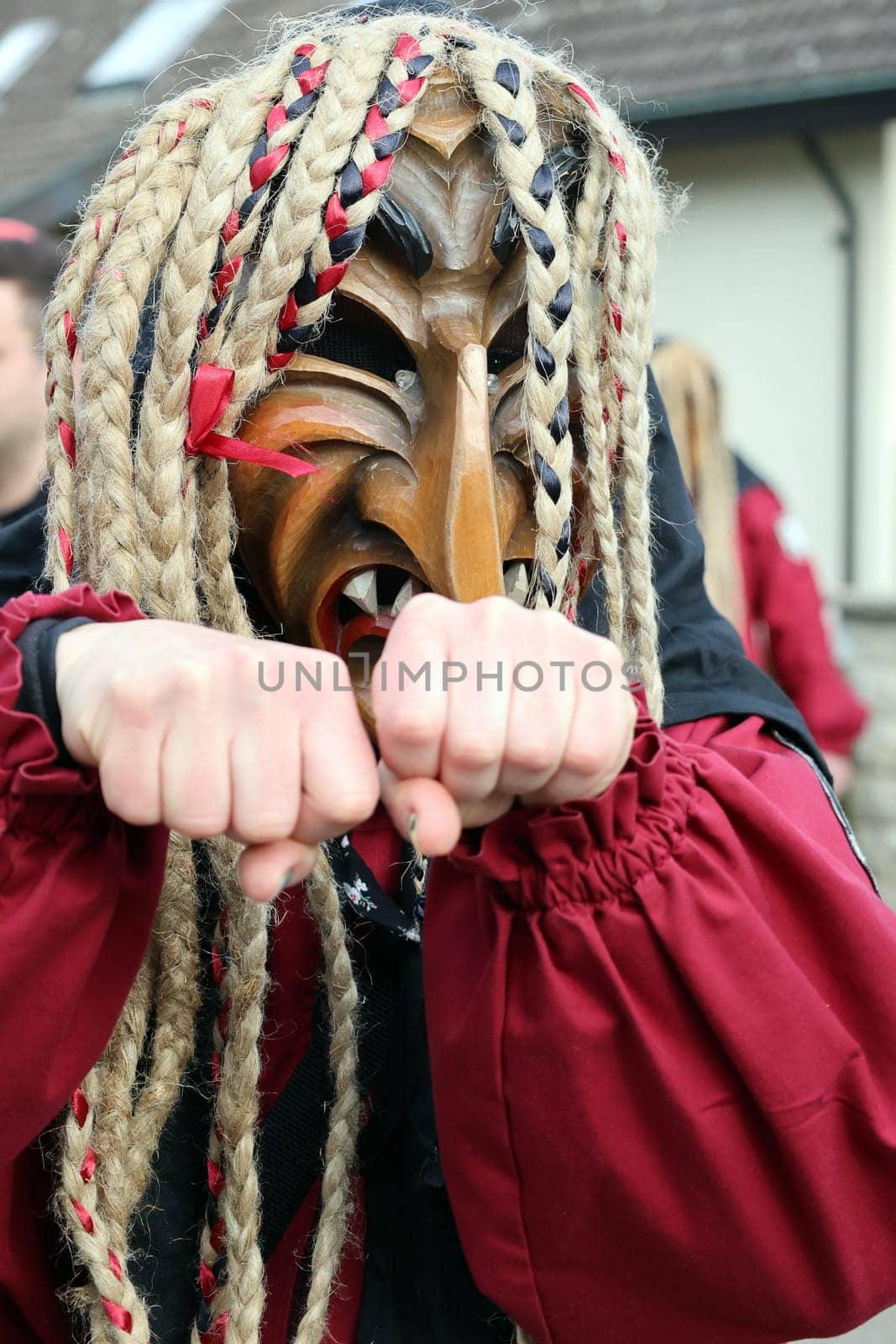 Theme picture - Carnival Carnival  The fools are on the loose at the Alemannic-Swabian Carnival. Like here in Hartheim am Rhein,the jesters parade through the streets,here the Seltenbach witches Tunsel