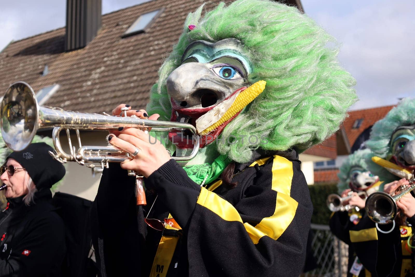Theme picture - Carnival Carnival  The fools are on the loose at the Alemannic-Swabian Carnival. Like here in Hartheim am Rhein,the jesters parade through the streets,here the Guggemusik Maiskolbefetzer Eschbach