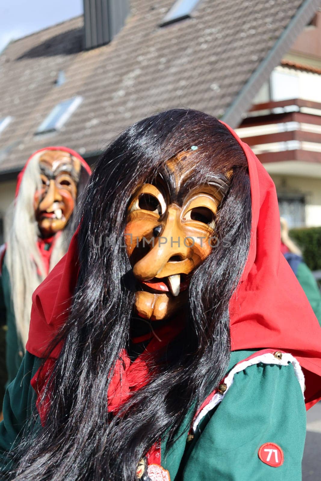 Theme picture - Carnival Carnival  The fools are on the loose at the Alemannic-Swabian Carnival. Like here in Hartheim am Rhein,the jesters parade through the streets,here the Hardemer Bäseridder Hartheim