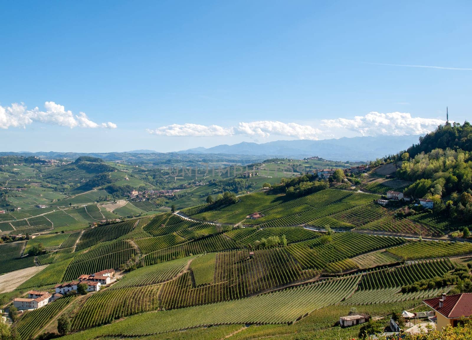 View of Langhe vineyards from La Morra,  UNESCO Site, Piedmont, Italy