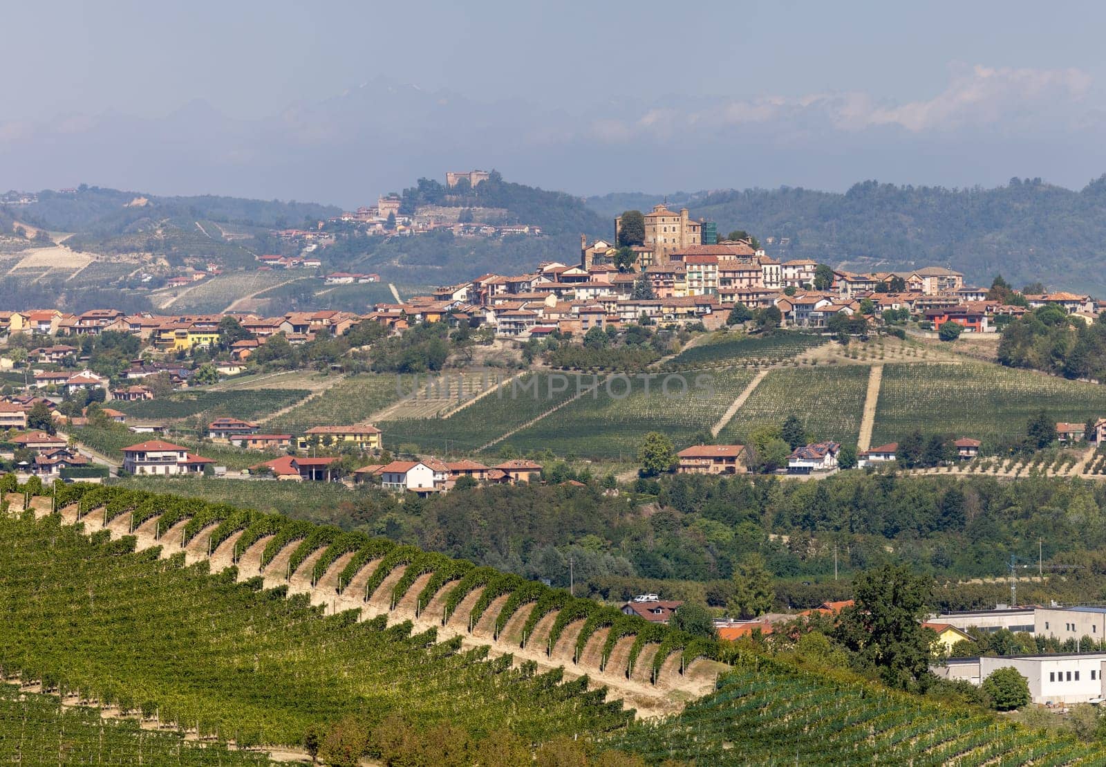 View of Langhe vineyards from Grinzane Cavour. UNESCO Site, Piedmont, Italy