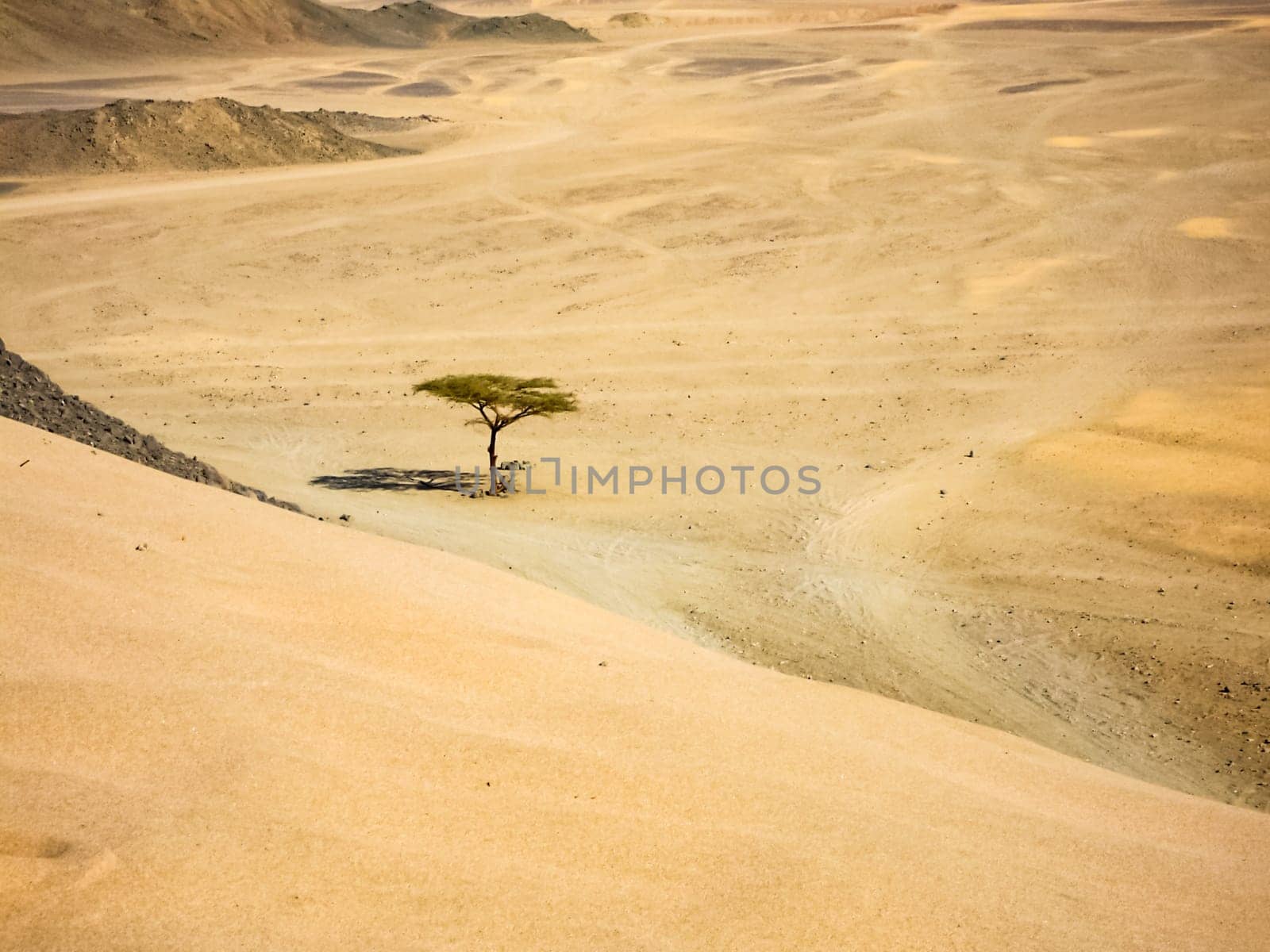 Egyptian desert the beginning of the desert sugar in Egypt
