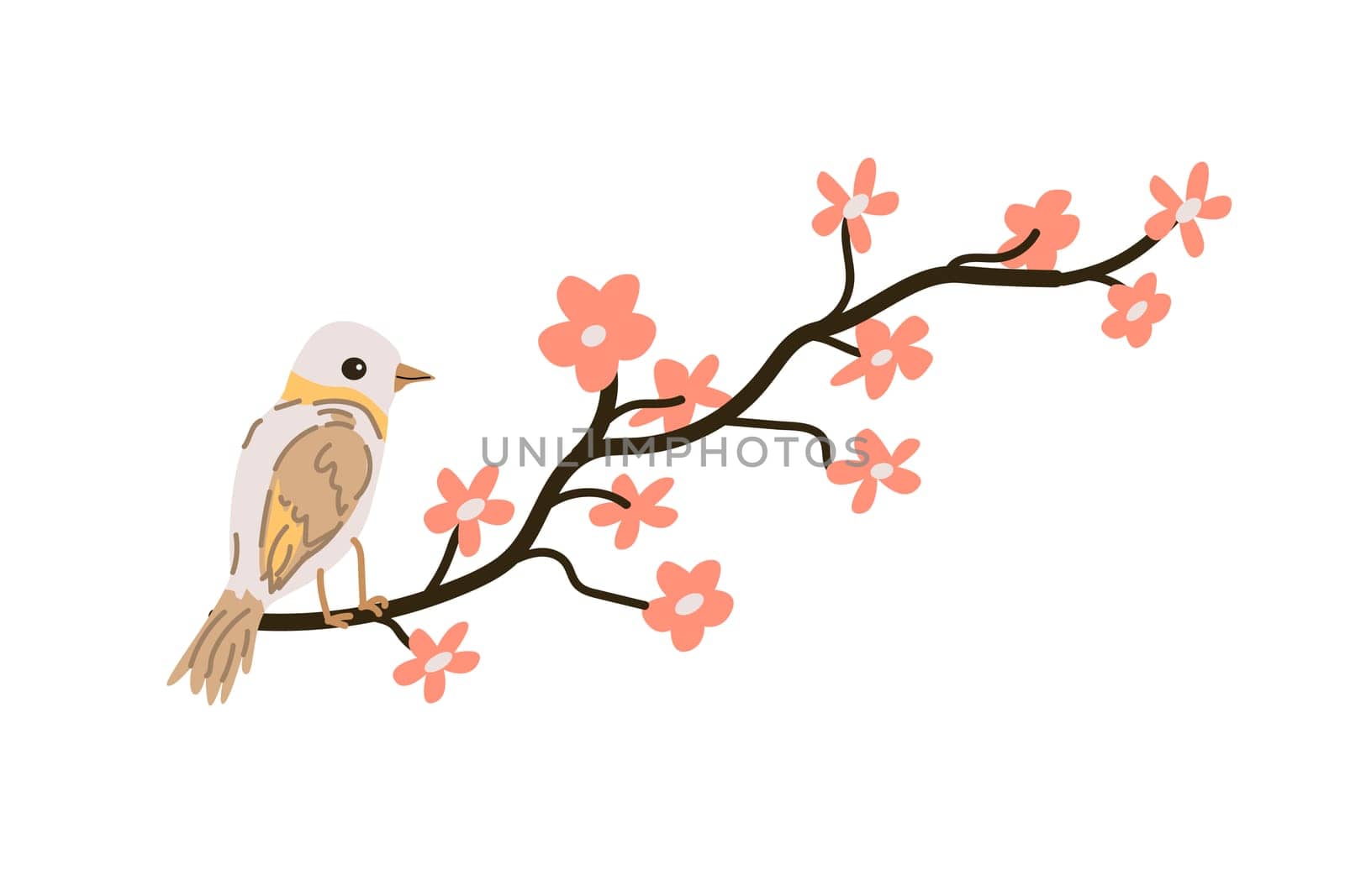 spring bird sitting on cherry blossom branch. Vector illustration isolated. Can used for wallpaper, poster, print design for cloth.