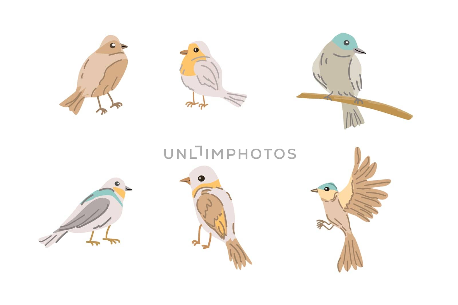 set of spring birds - cute animals standing, flying and sitting on wood Vector illustration isolated. Can used for wallpaper, poster, print design for cloth.