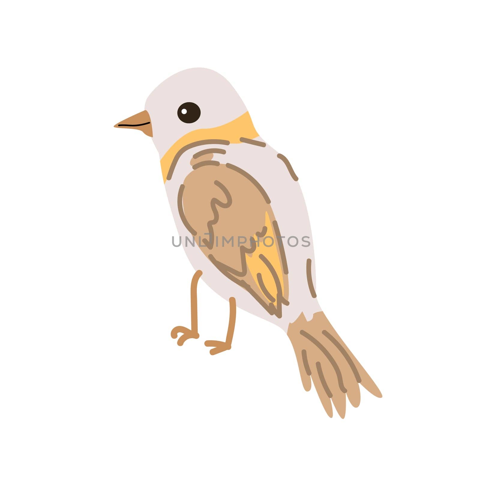 Spring bird with orange feather. Vector cartoon illustration in childish style. Can used for greeting card, banner and poster, sticker.