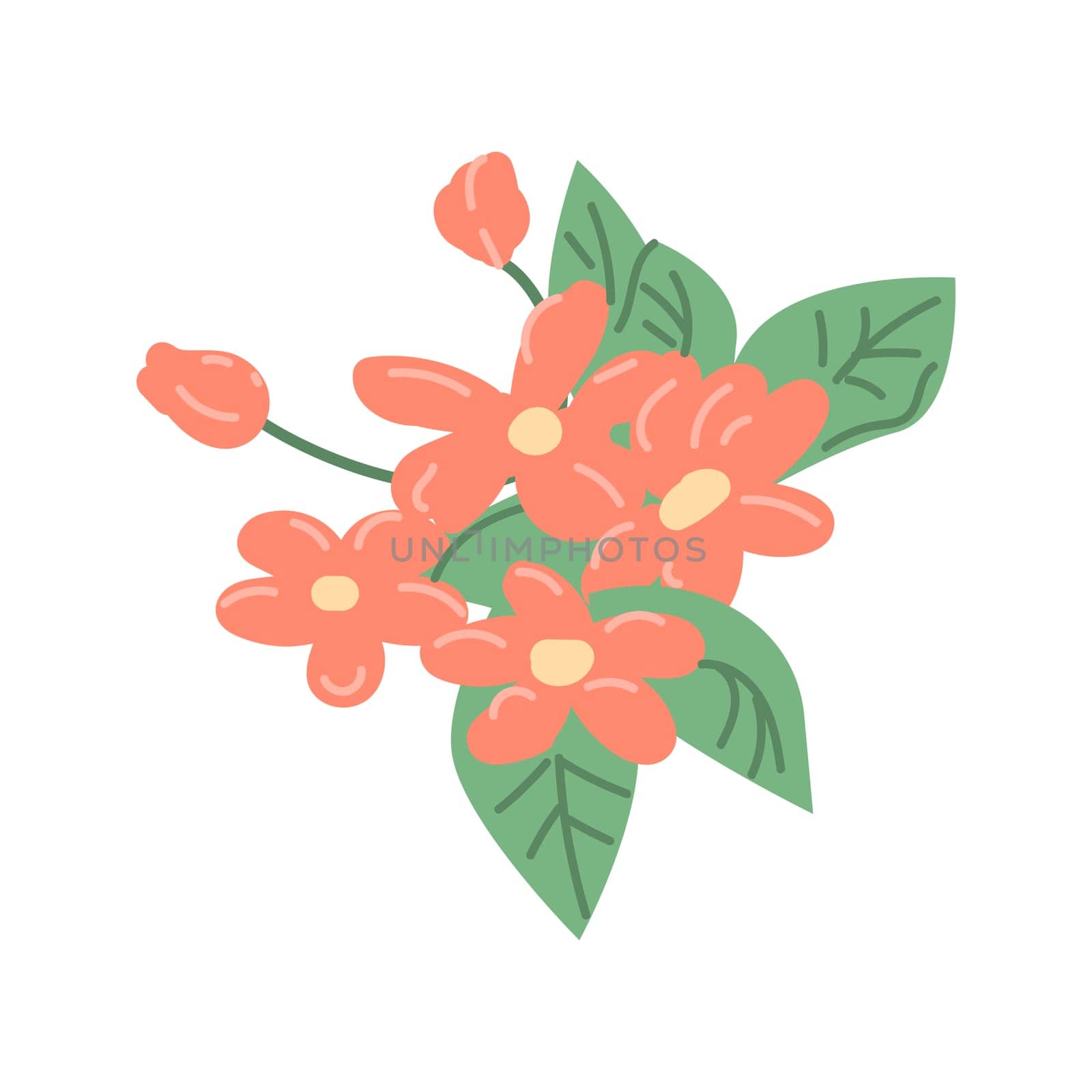 Hand drawn spring flower with leaves - red vector illustration. Can used for decoration banner, greeting card, invitation decor.