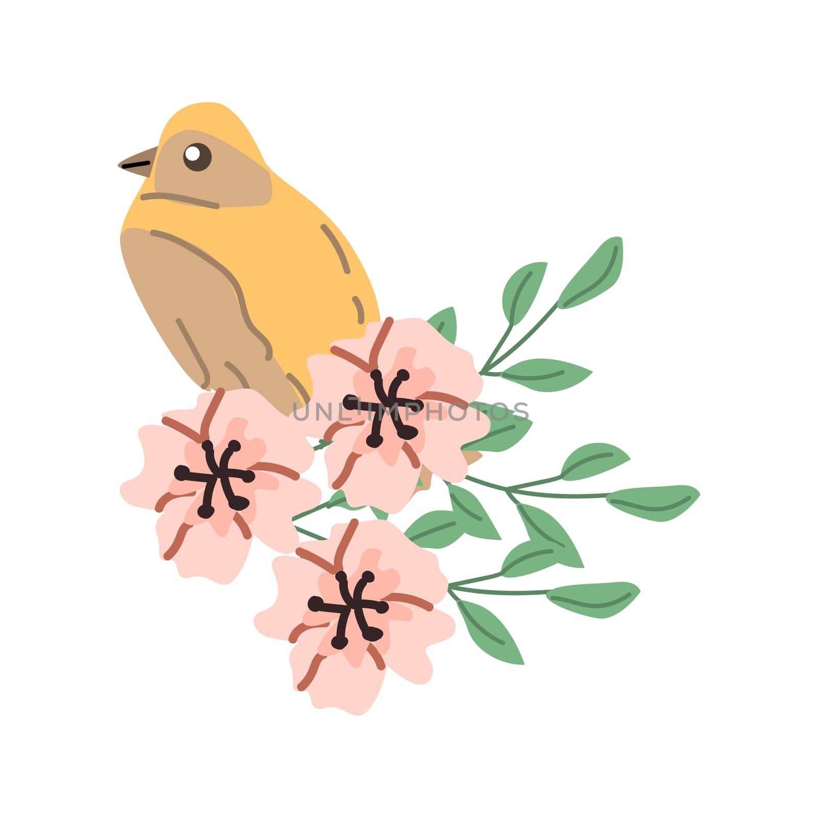 spring bird in branch and flowers for greeting card, cover design. Vector illustration isolated. Can used for wallpaper, poster, print design for cloth.