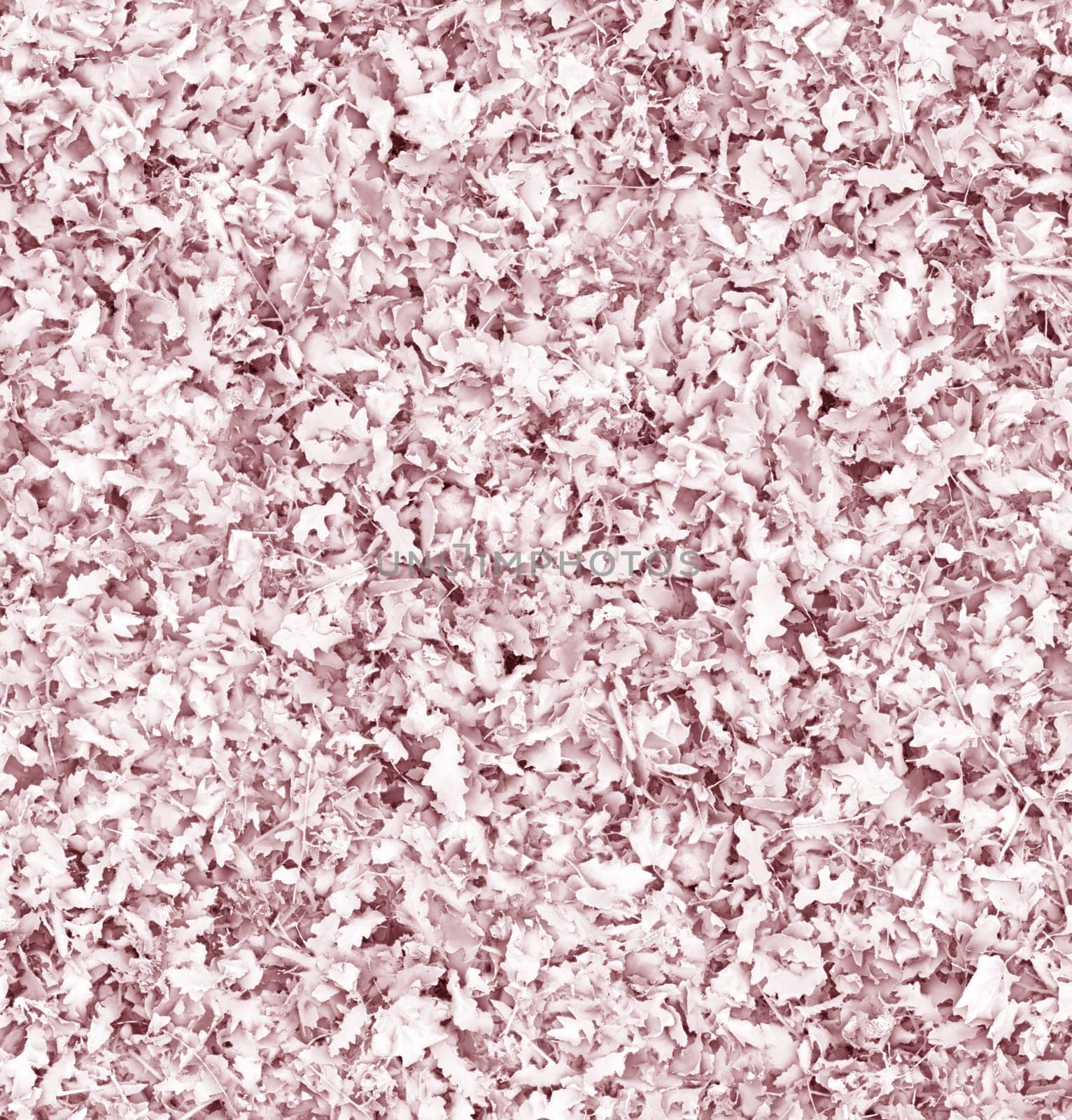Abstract background of brown oak leaves.View from above.Background or texture.