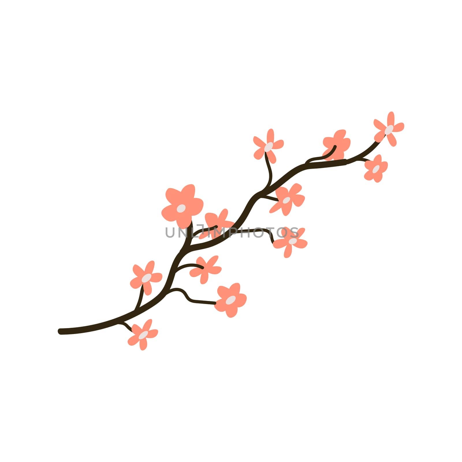 Hand drawn spring cherry blossom, sakura vector illustration. Can used for decoration banner, greeting card, invitation decor.