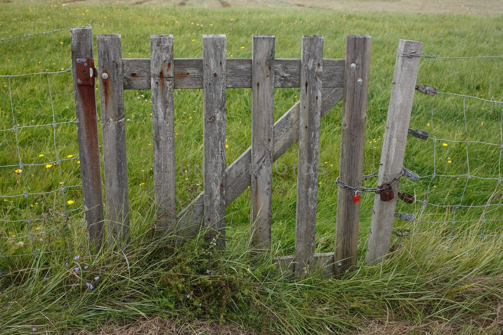 Wooden fence gate on a willow fence, Germany