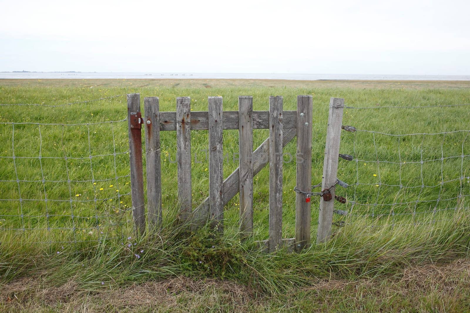 Wooden fence gate on a willow fence, Germany