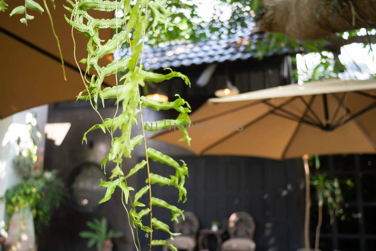 Exterior design and decoration furniture at coffee shop, stock photo