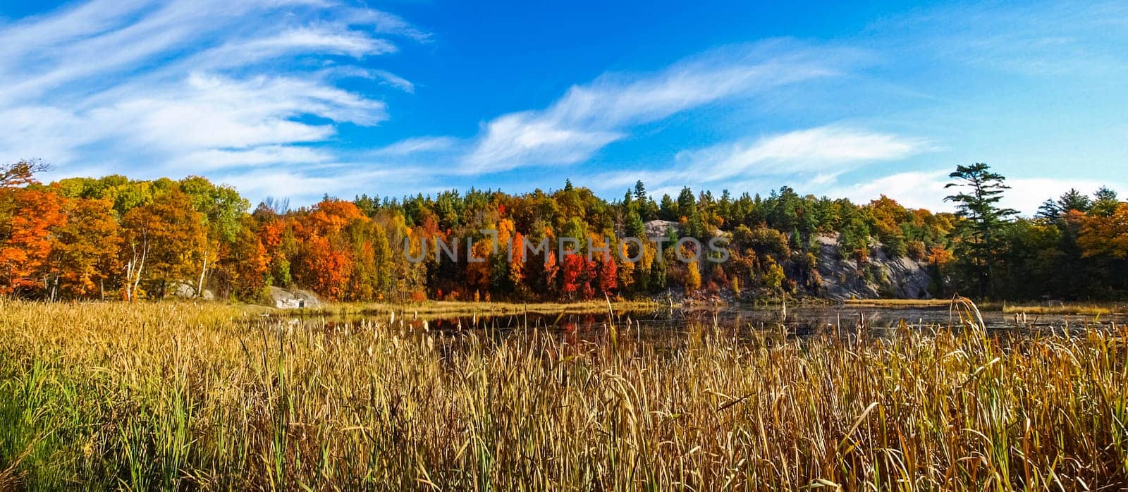 Autumn on the shore of Lake Huron, a beautiful autumn landscape.