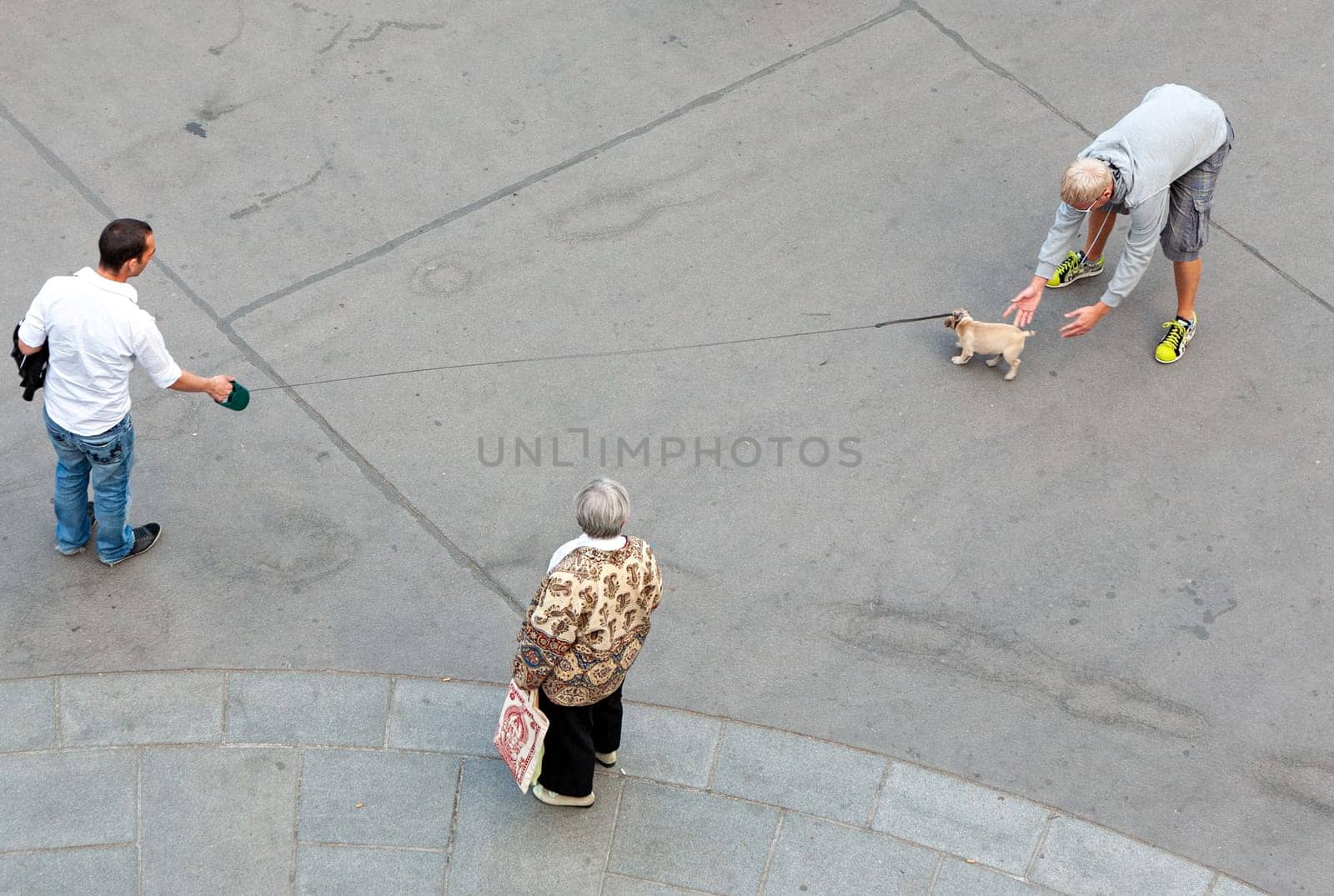 Vienna, Austria - April 22, 2009: male couple go for a walk with their small dog. They teach hin crossing the street and an old lady watches the scene.