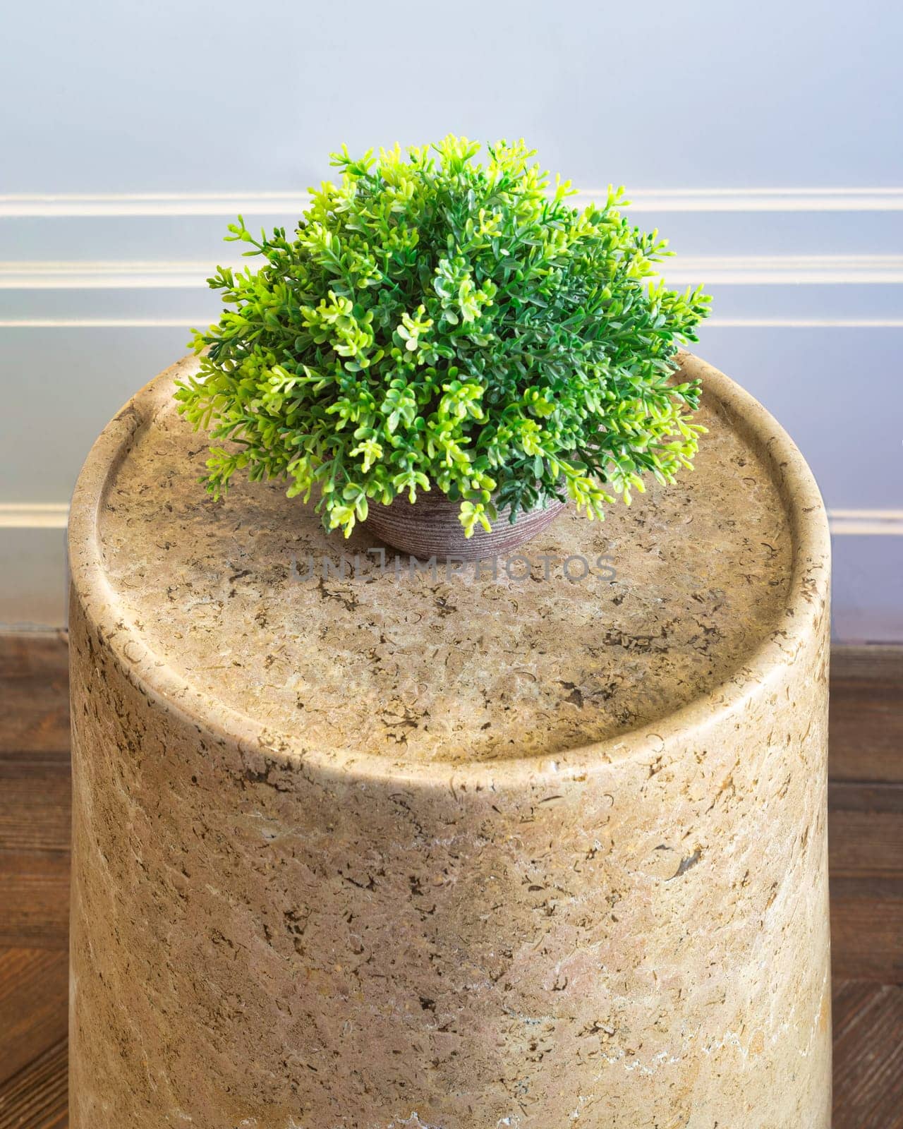High angle close-up of a round marble side table with potted plant on. The table has a sleek marble surface and a minimalist frame