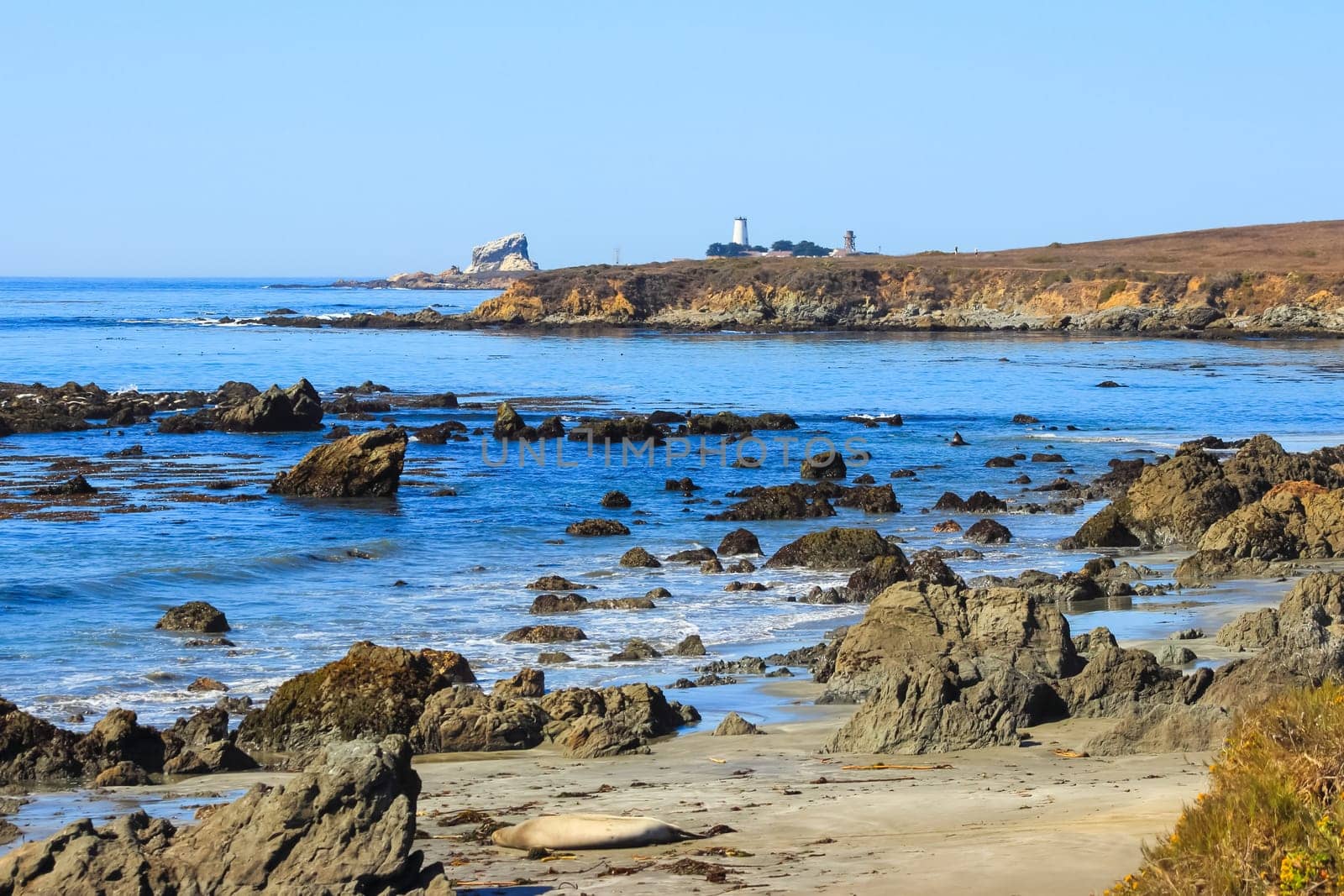 View of the Pacific Ocean in Big Sur, California