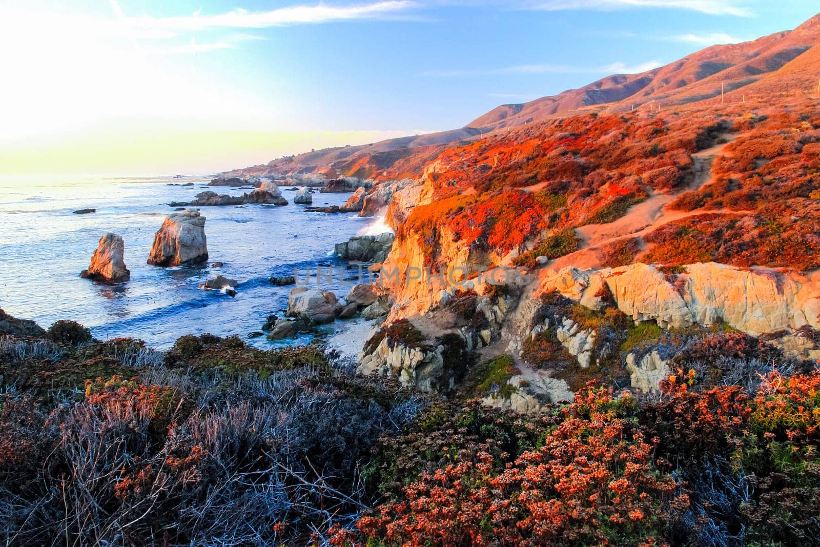View of the Pacific Ocean in Big Sur, California